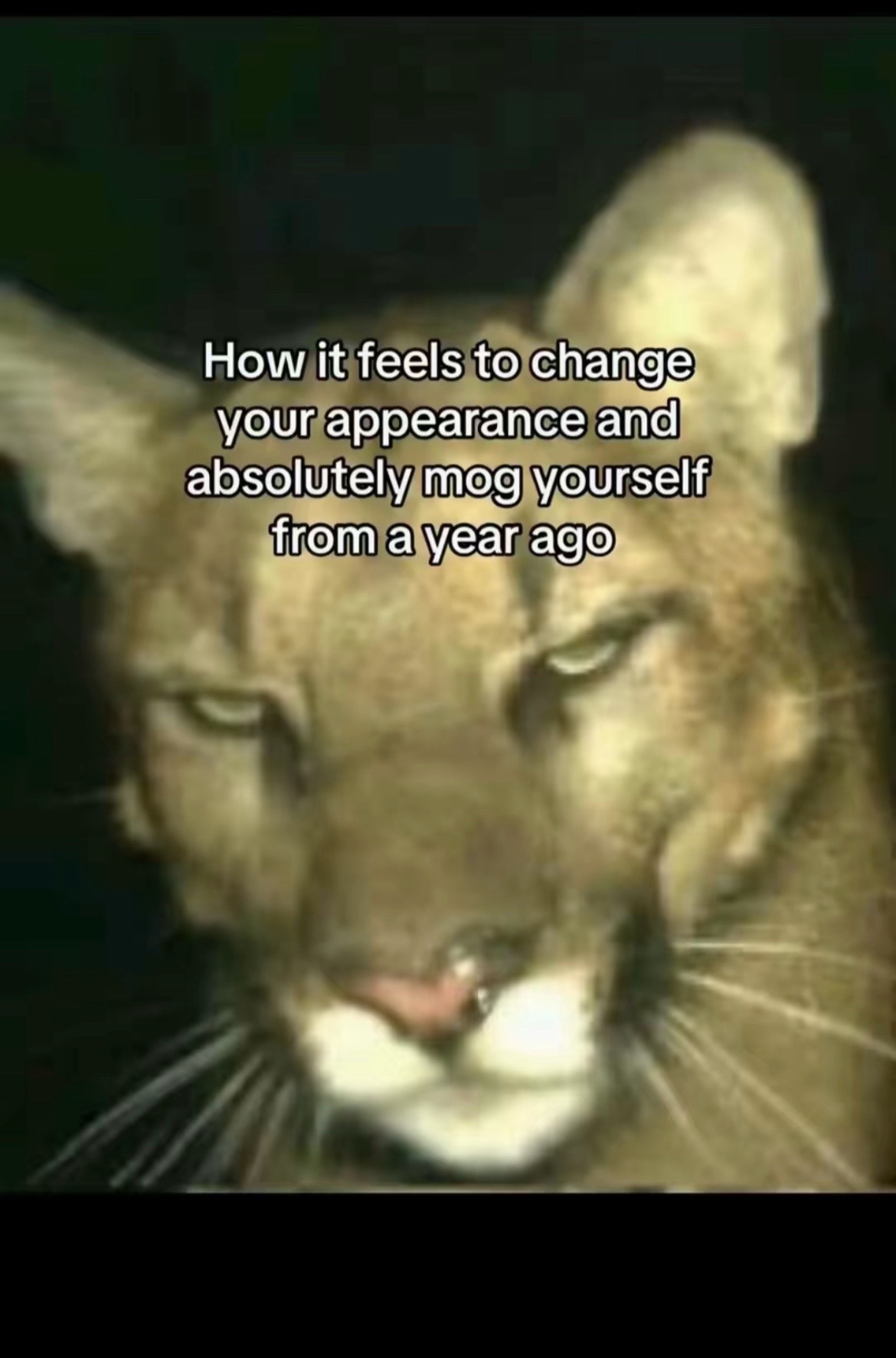 @hailee