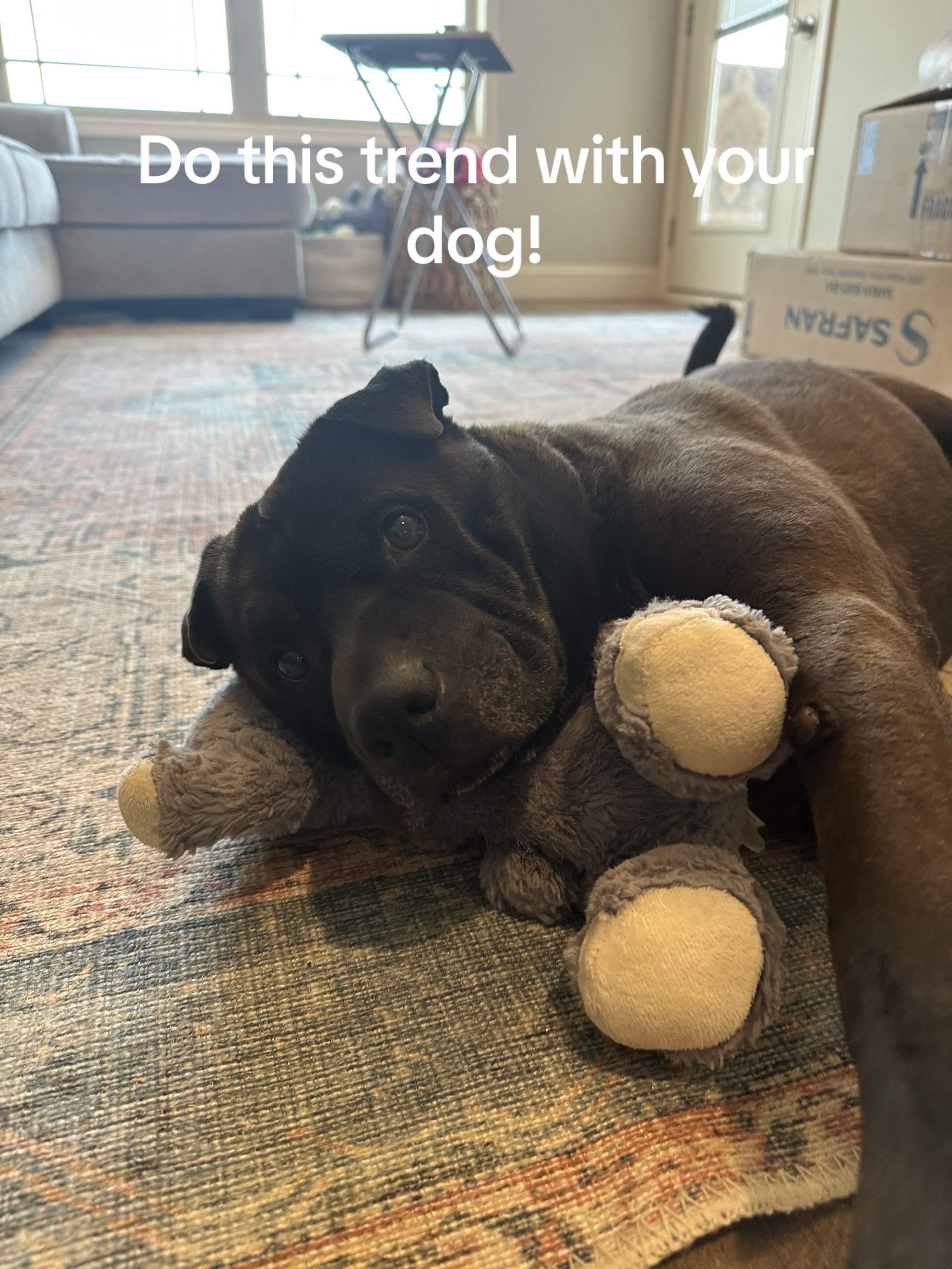 @Dudley&Ollie🐾