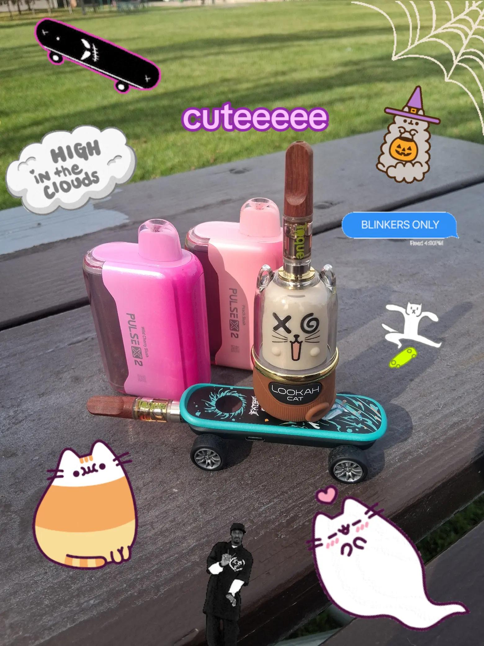 @𝓖𝓱0𝓼𝓽𝓚!𝓽𝓽𝔂𝓚🐱𝓽