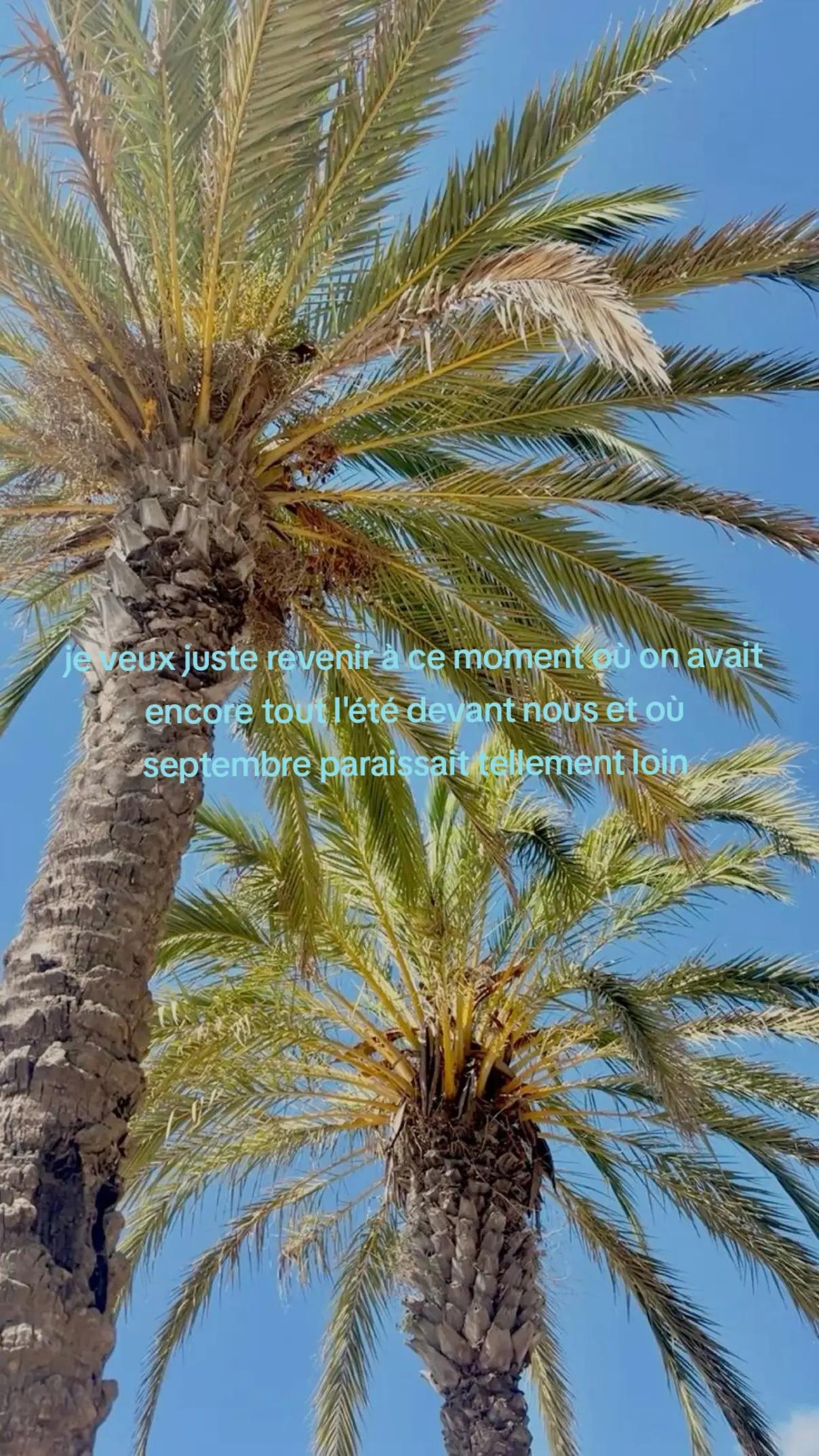 @🐚☁️🥥