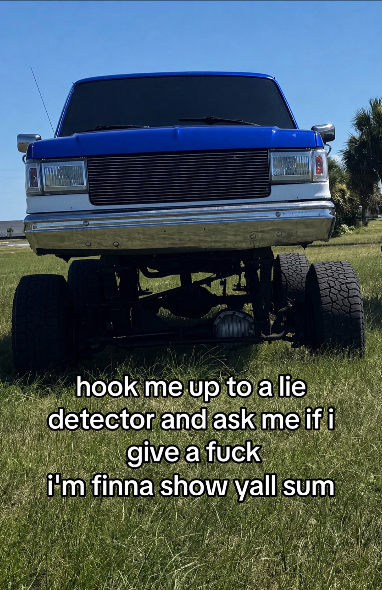 @that_blue_bricknose_7.3