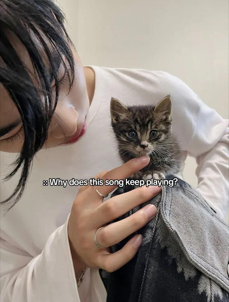 @✪✪✪✪✪