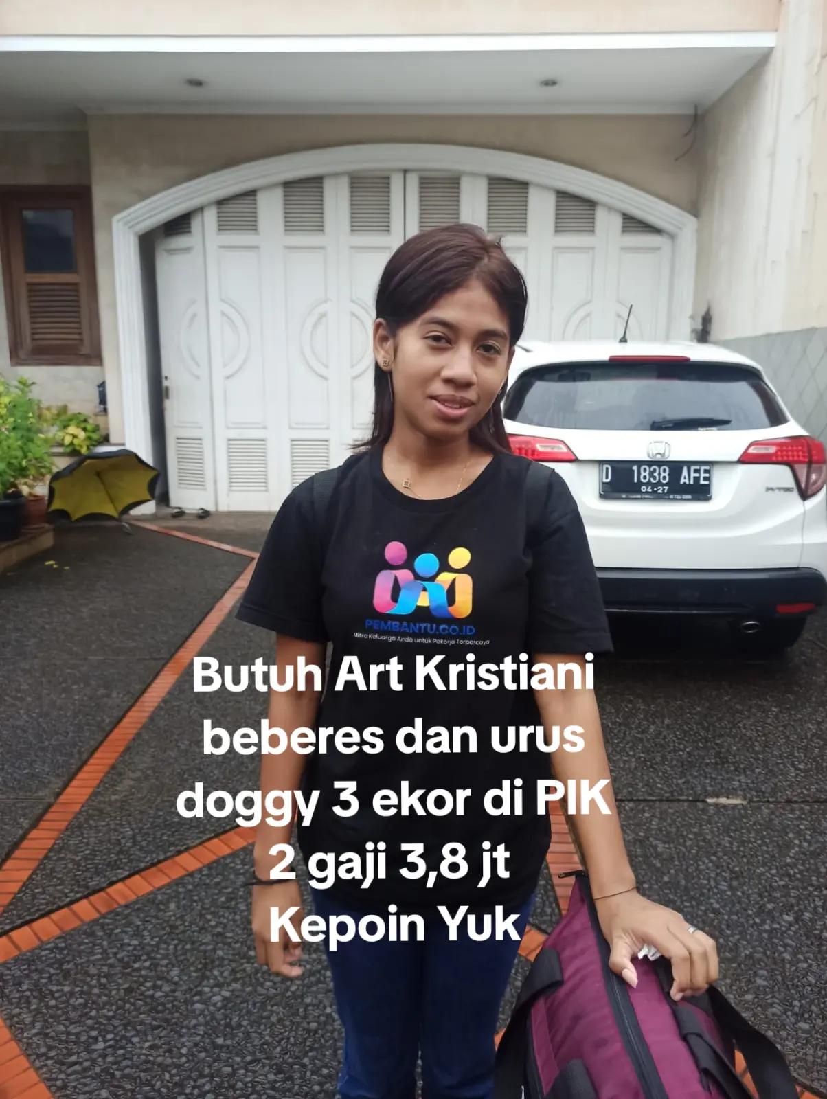 @pembantu.co.id