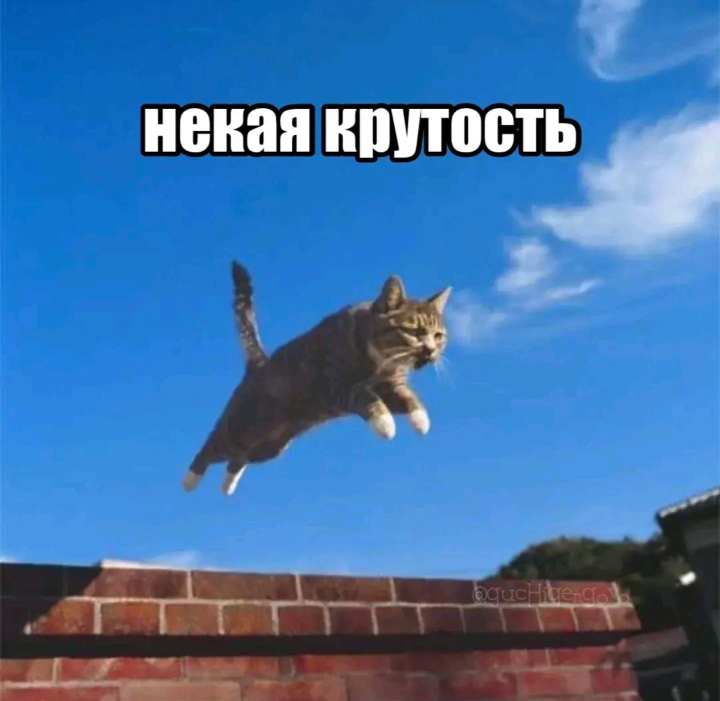 @😺