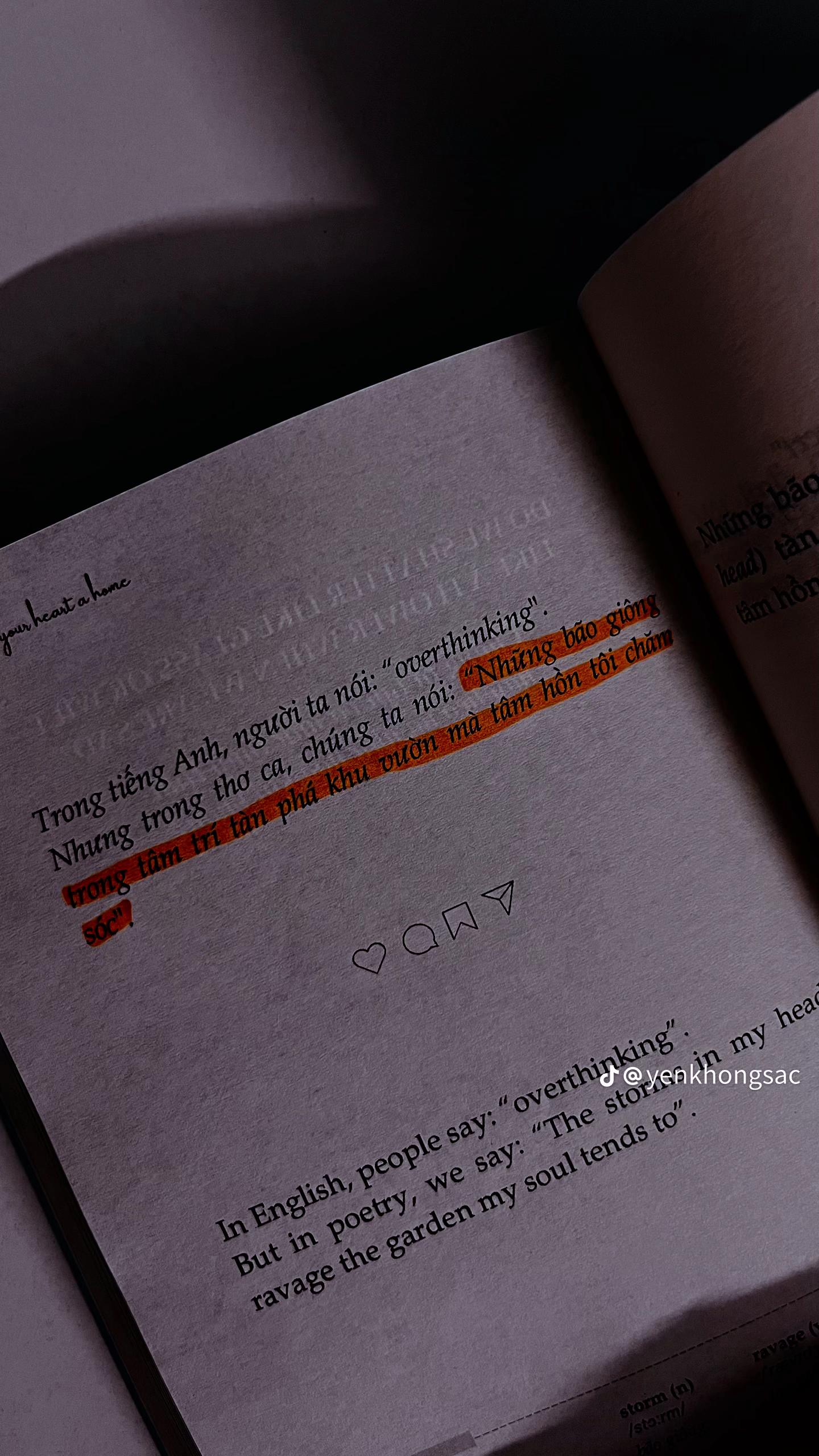 @ᴶ ᵁ ᴺ ᴾ ᴵ ᴵ 🥀