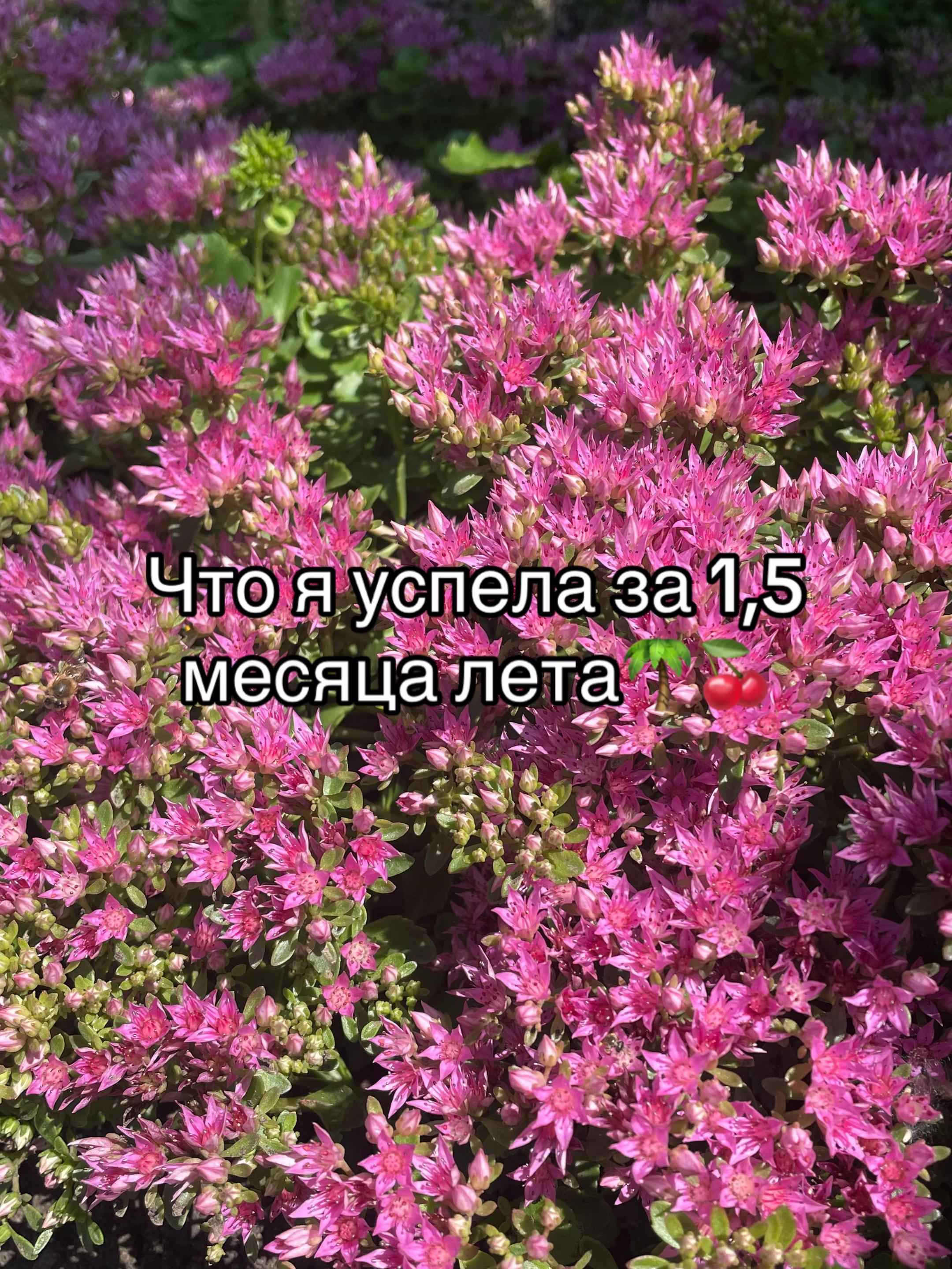 @⭐️тгк:Vi_Art_Ufa⭐️