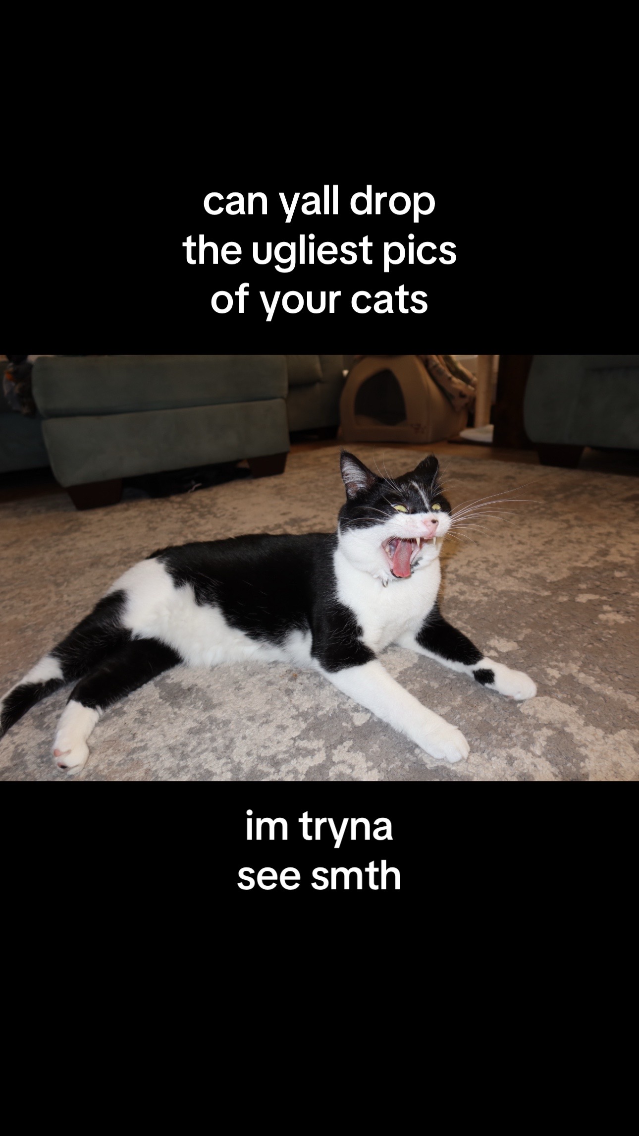 @TayTay