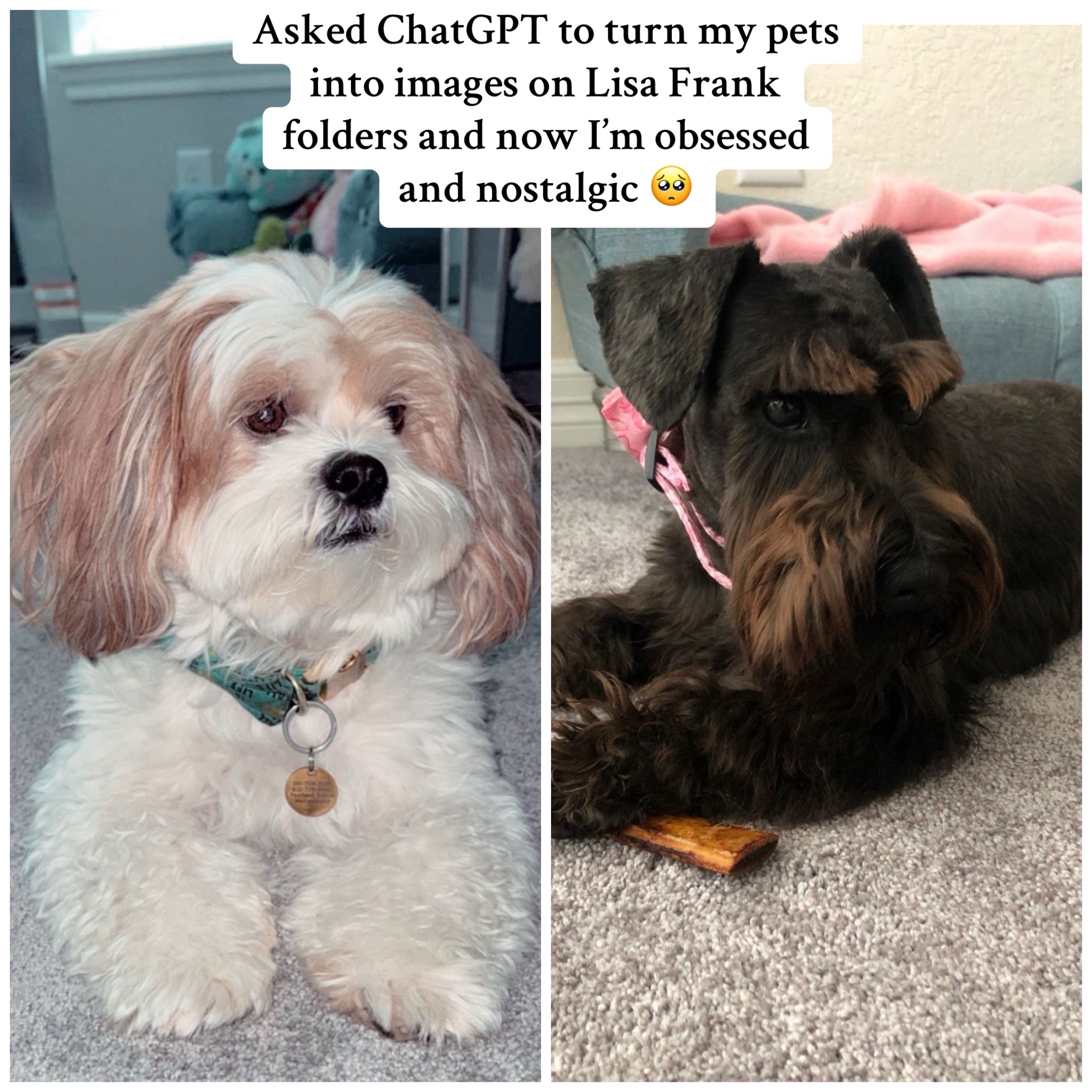 @Bear & Pearl 🐶 🐕&zwj;🦺