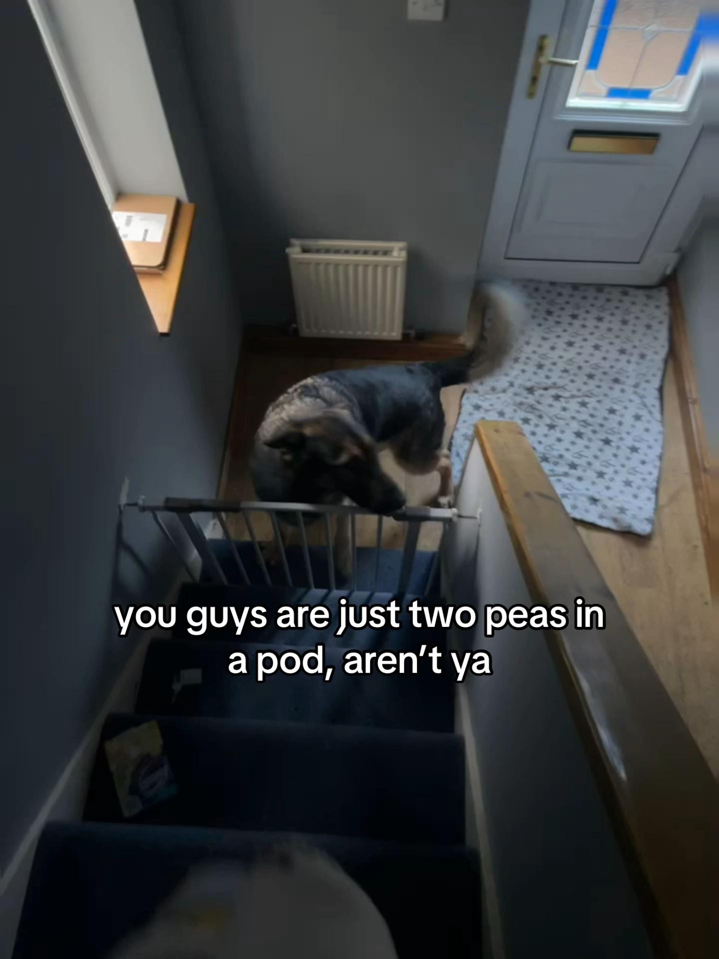 @emma