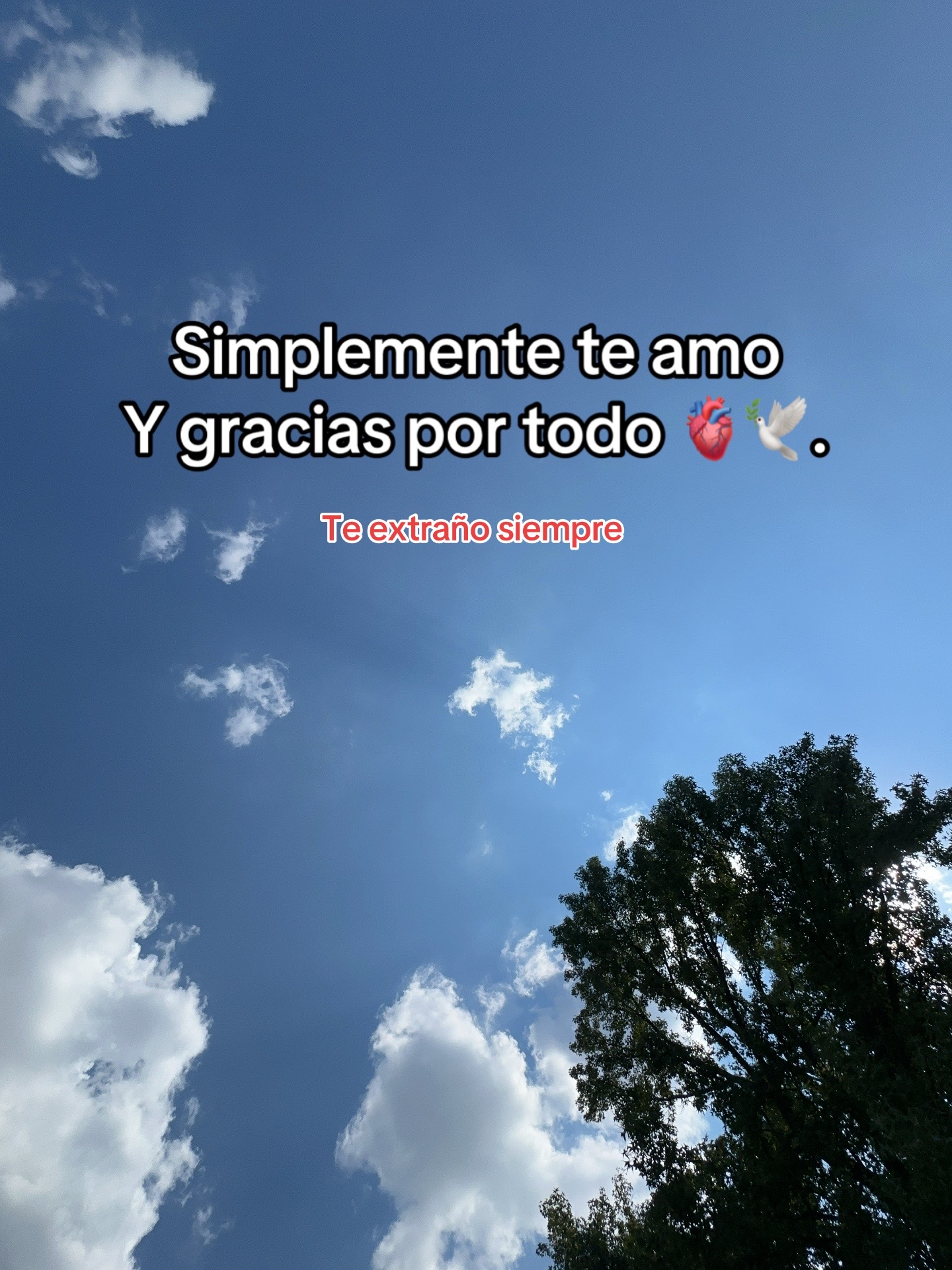 @Esme🖤 🌷🍒🐝