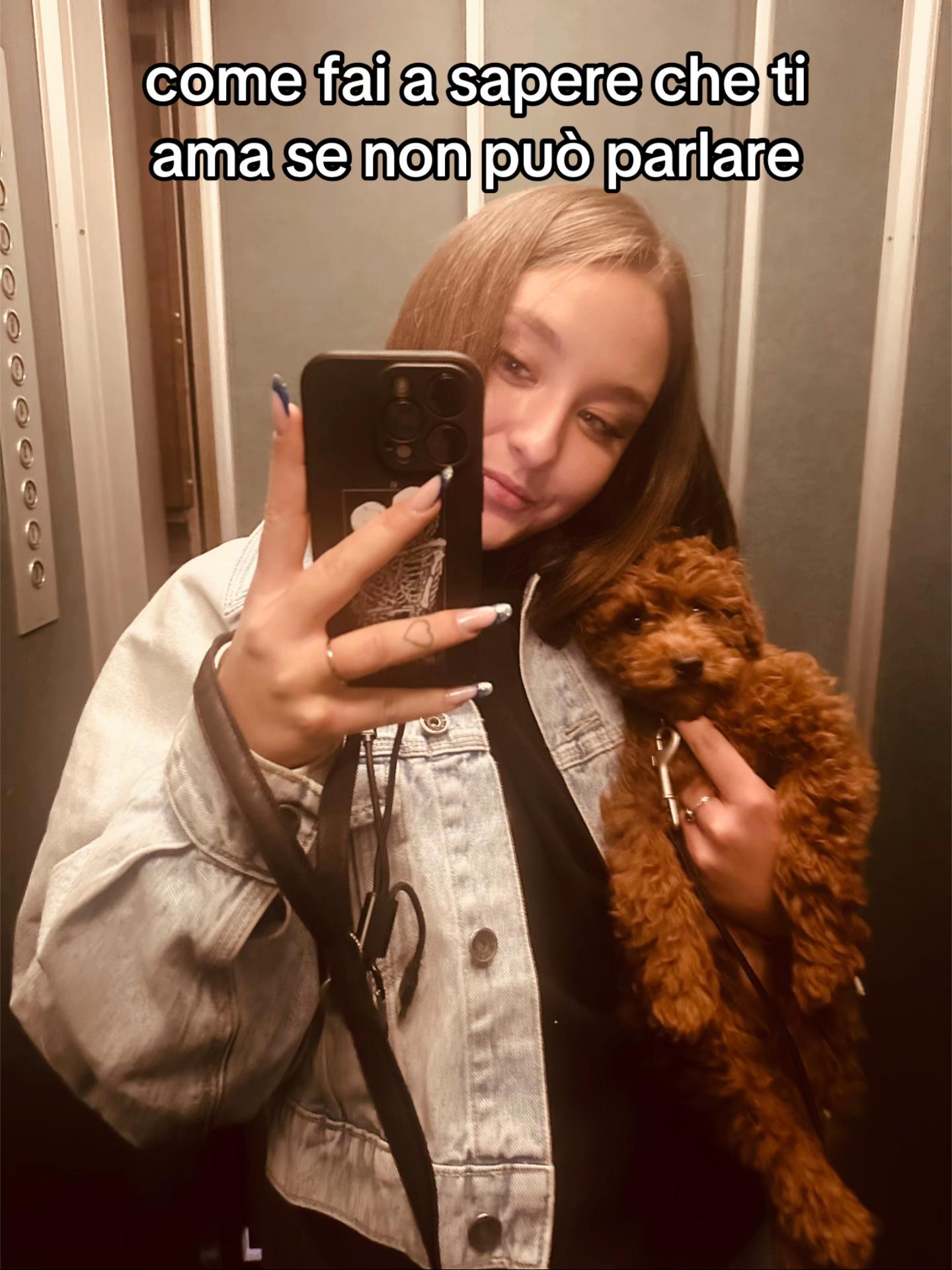 @noemi_busca