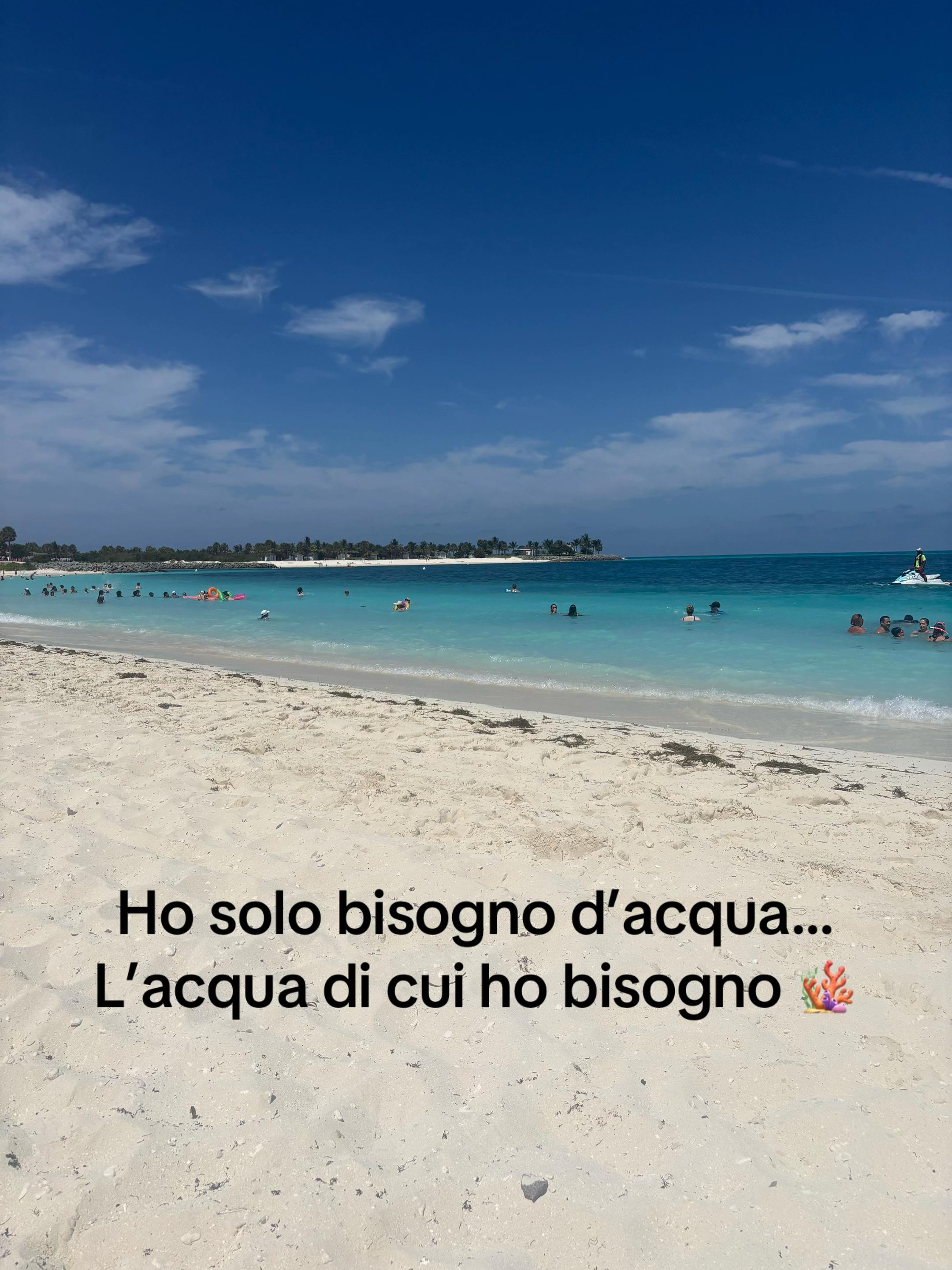 @rosyiuliucci7