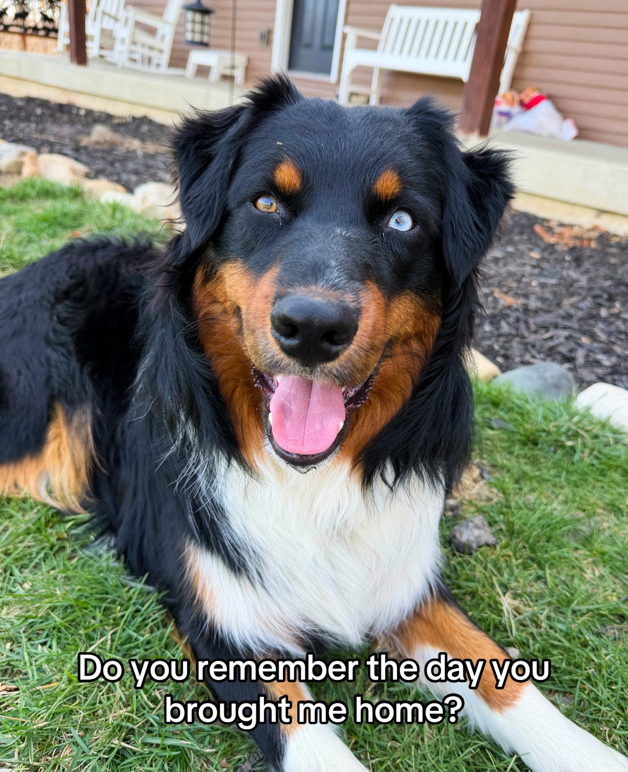 @tiff_the_goalie