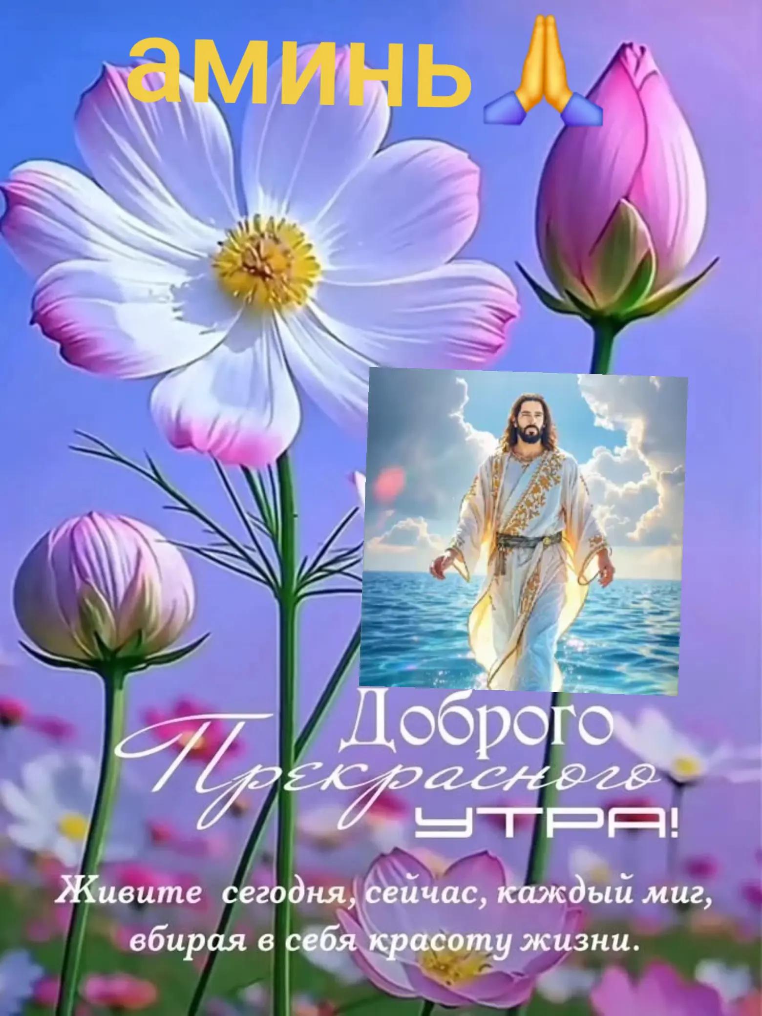 @ангел с тобой 75