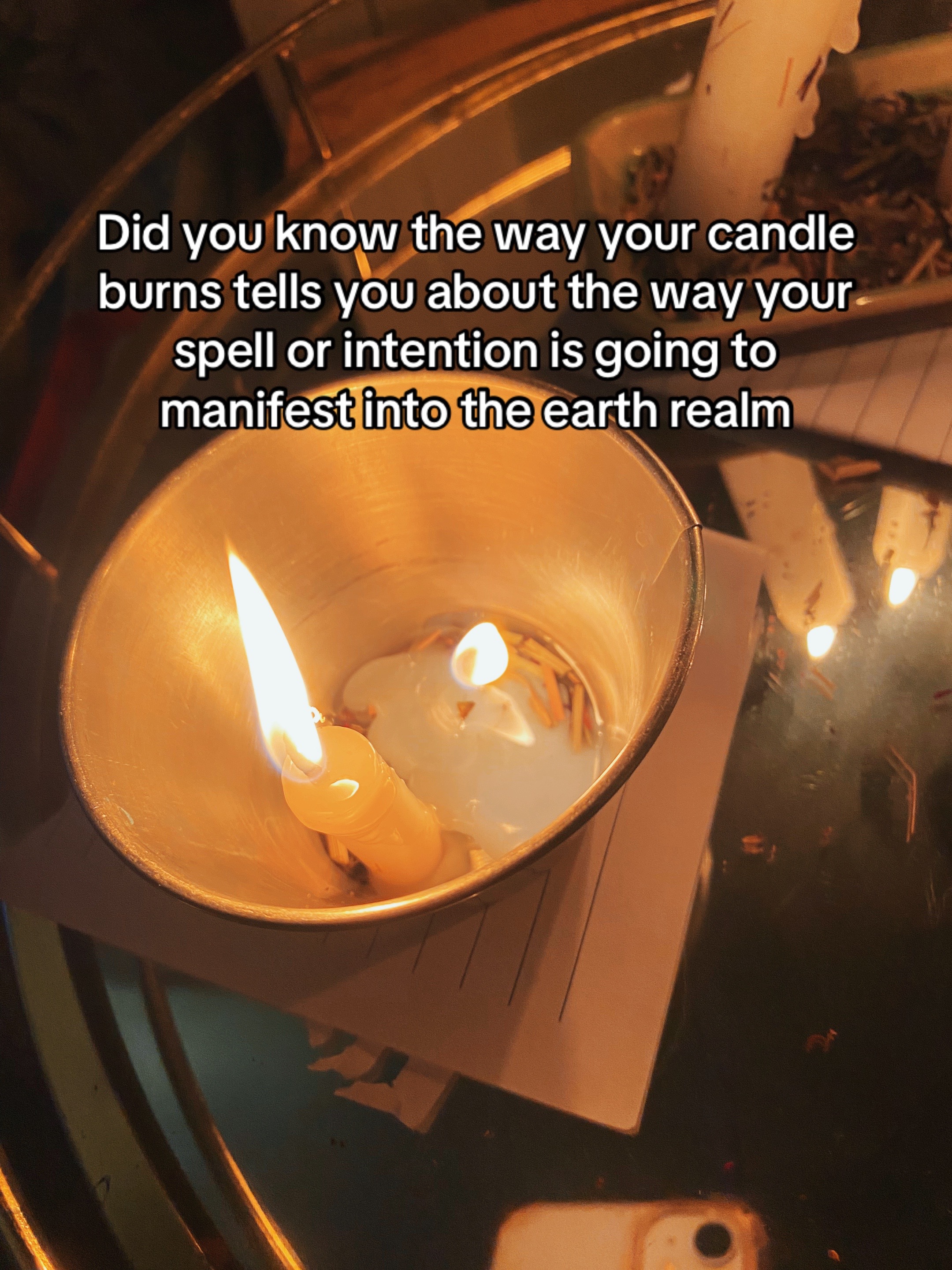 @Anya Lily🔥
