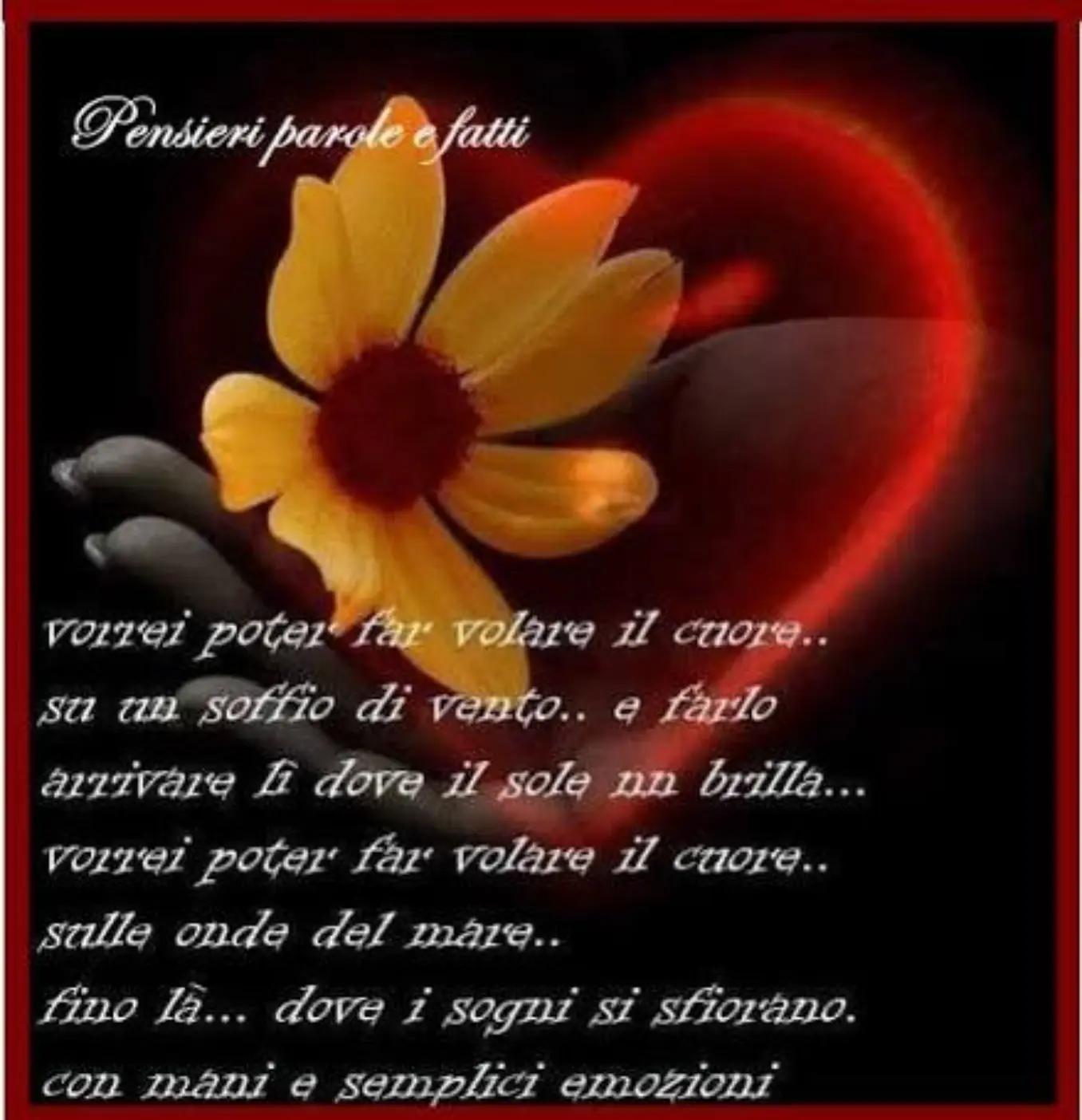 @Ninoilcamionistasiciliano🚛