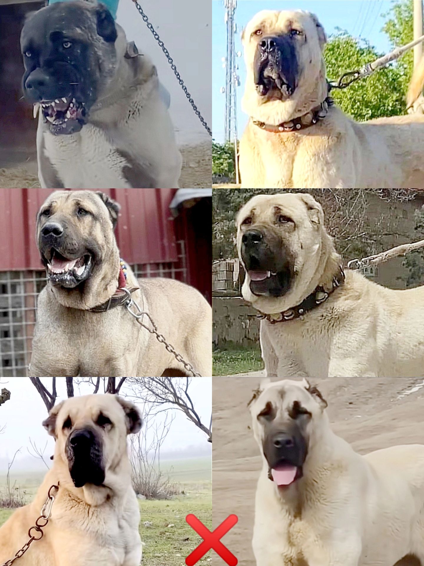 @𝗞𝗔𝗜𝗞𝗔𝗡𝗚𝗔𝗟