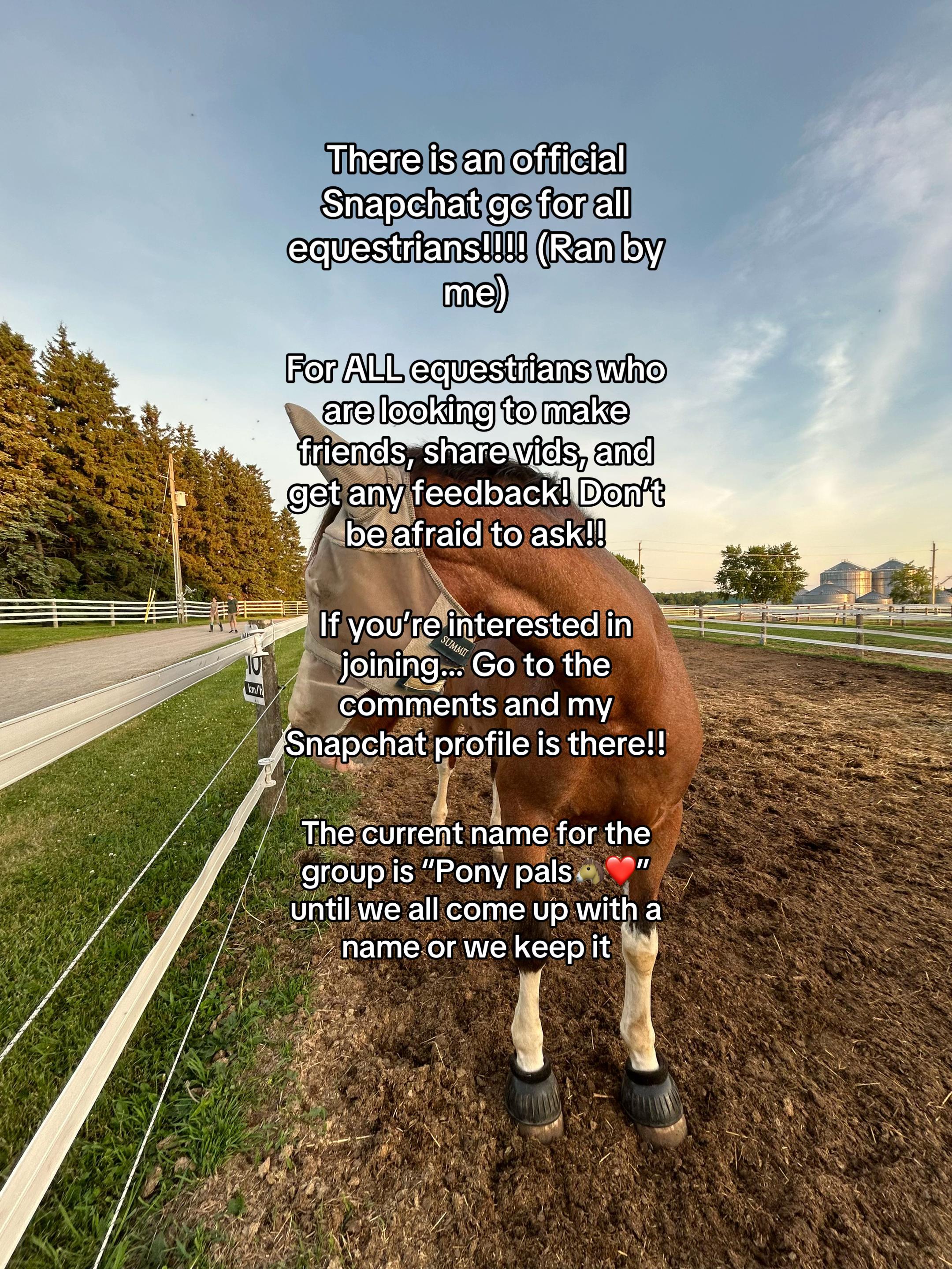 @Candace•eq-1💚🐴💫