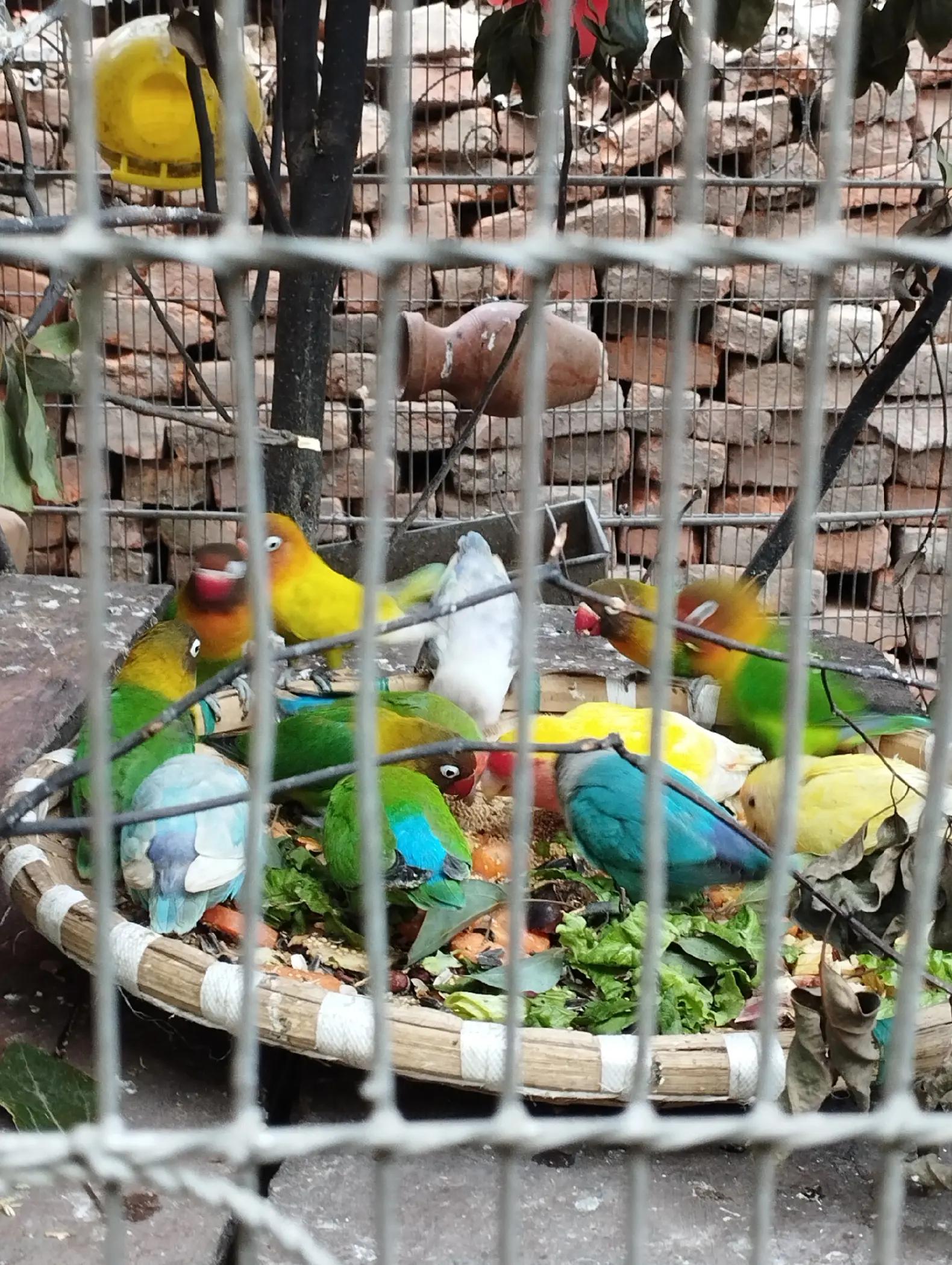@manishasah1370