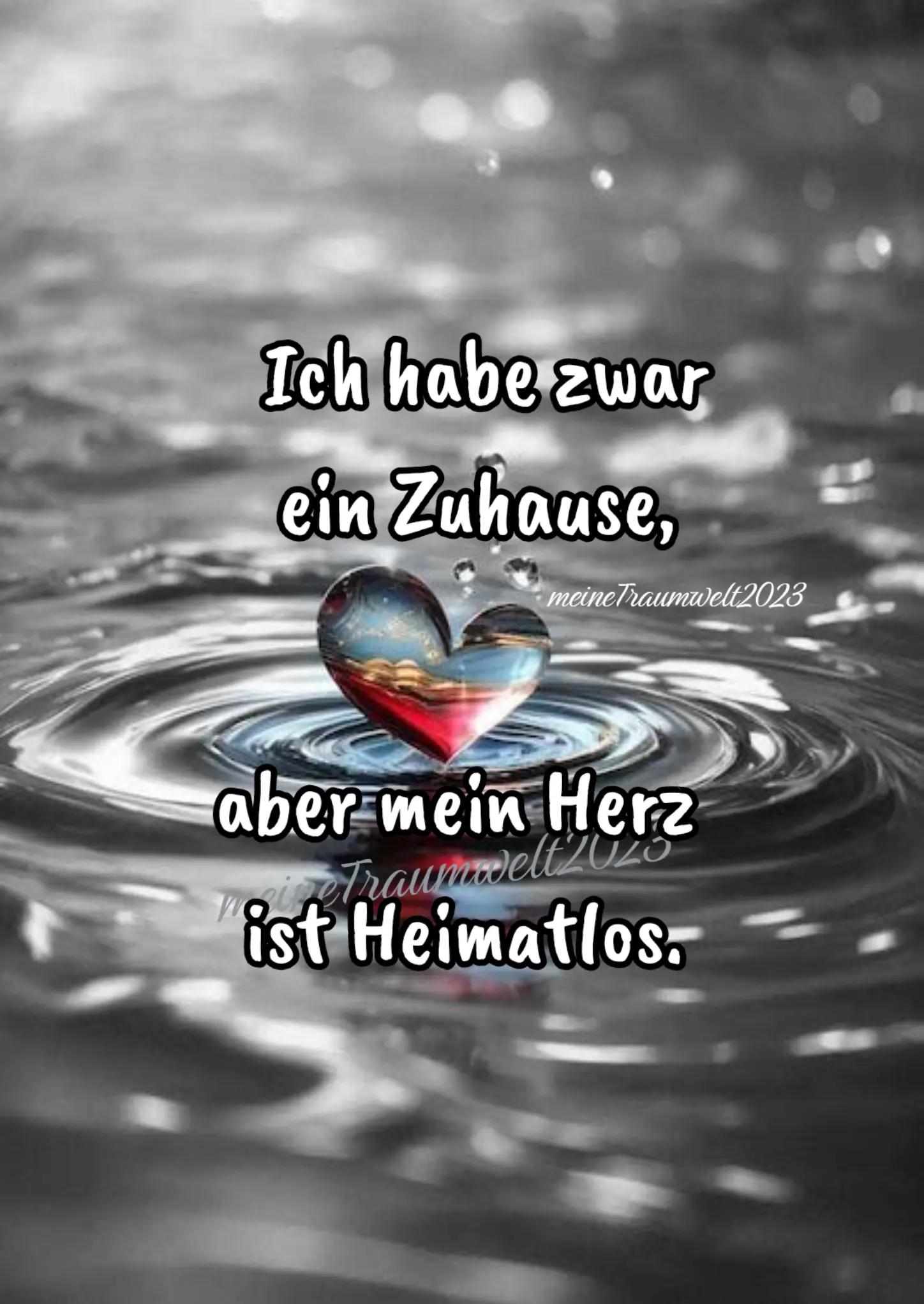 @meineTraumwelt2023