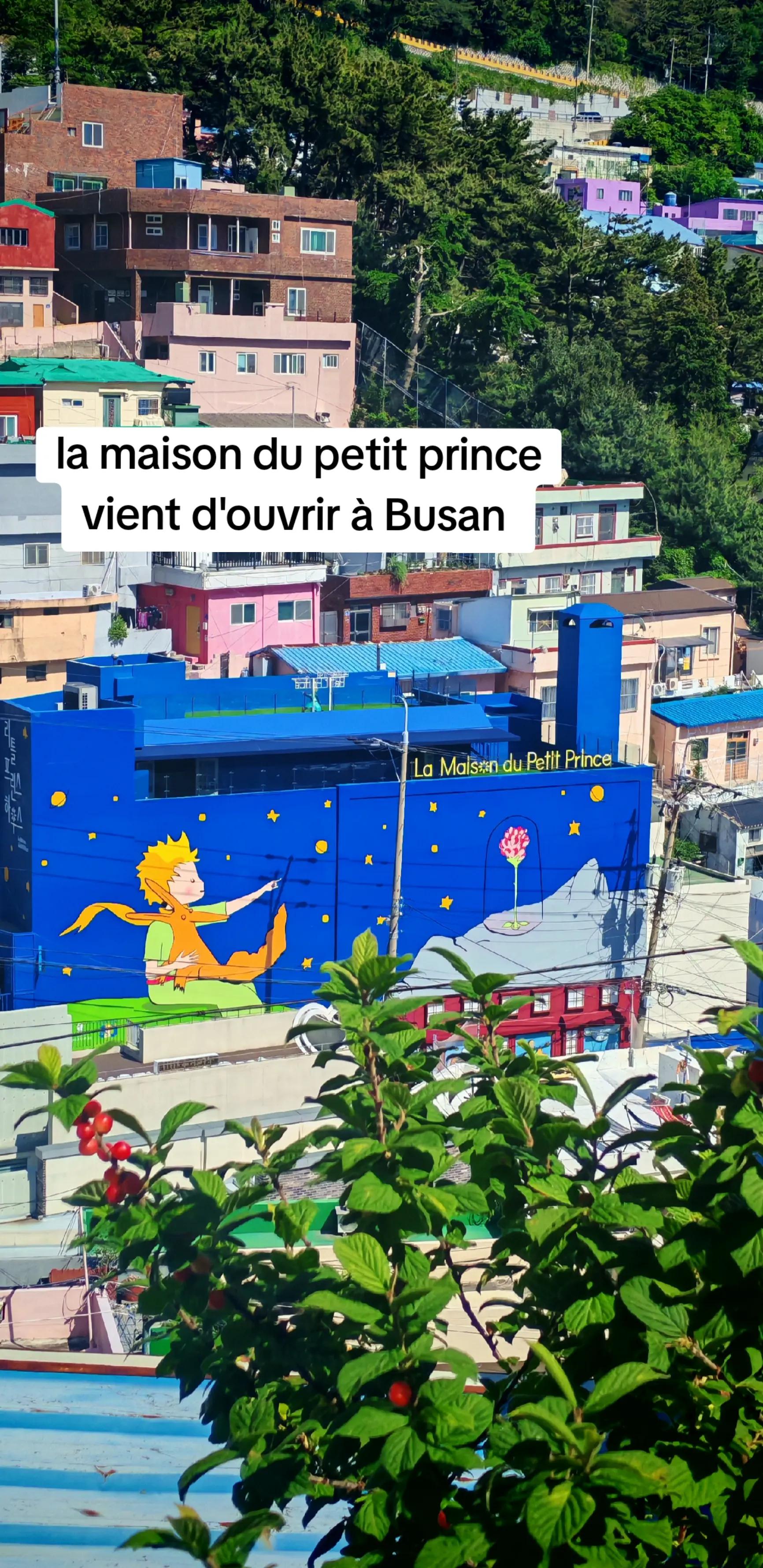 @Passion Corée