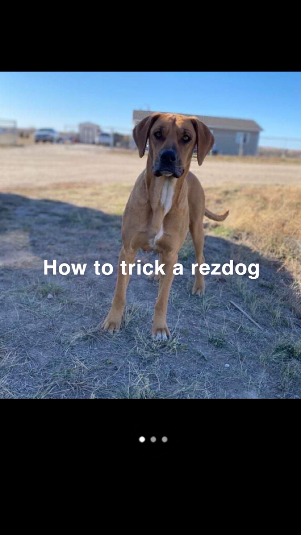 @Moose Tree Gaming