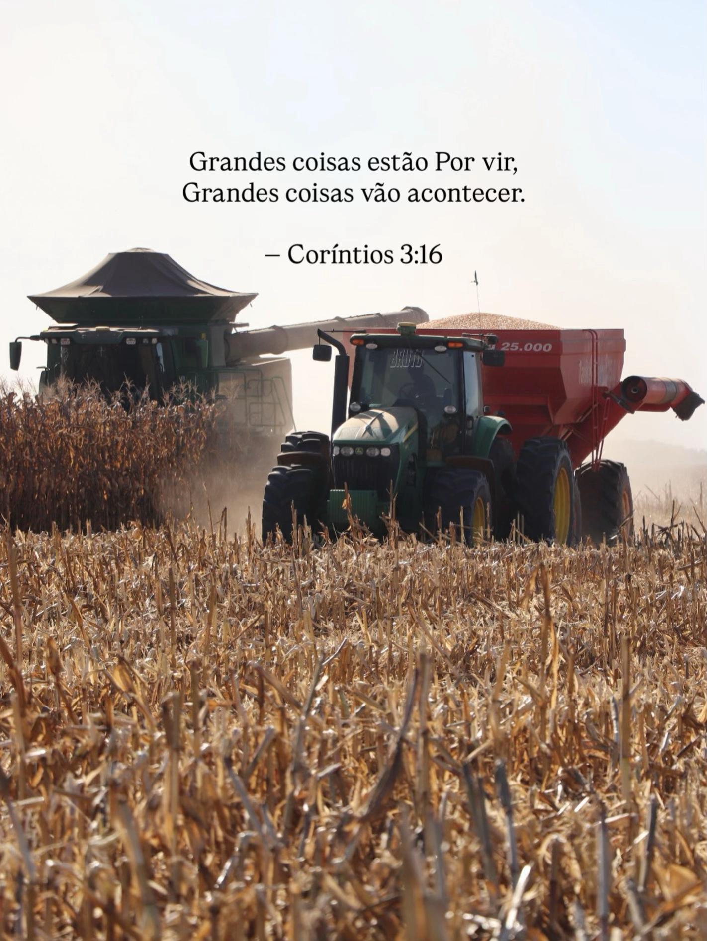 @Agro Tocantins Oficial🇧🇷