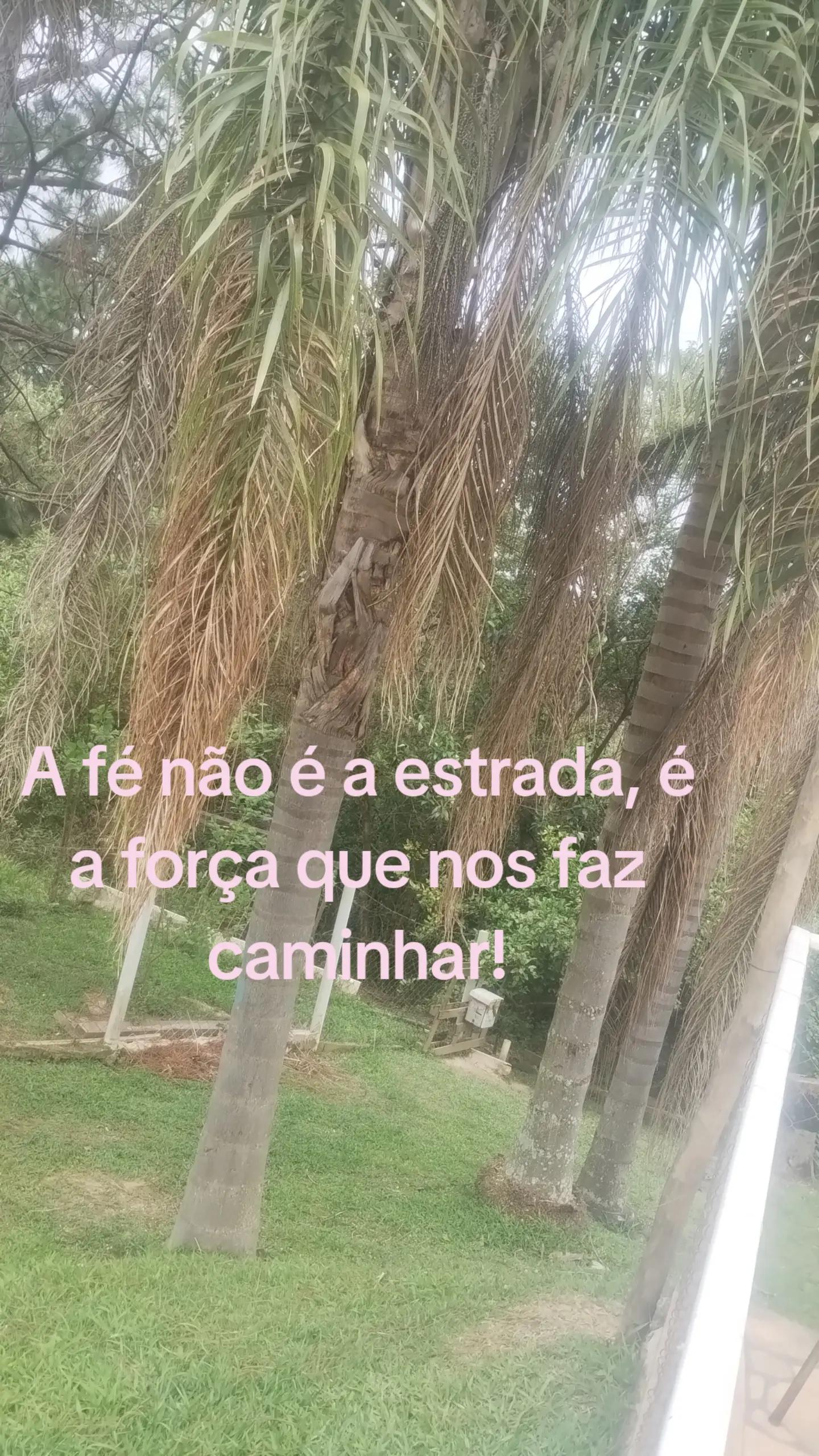 @terapiadeluz