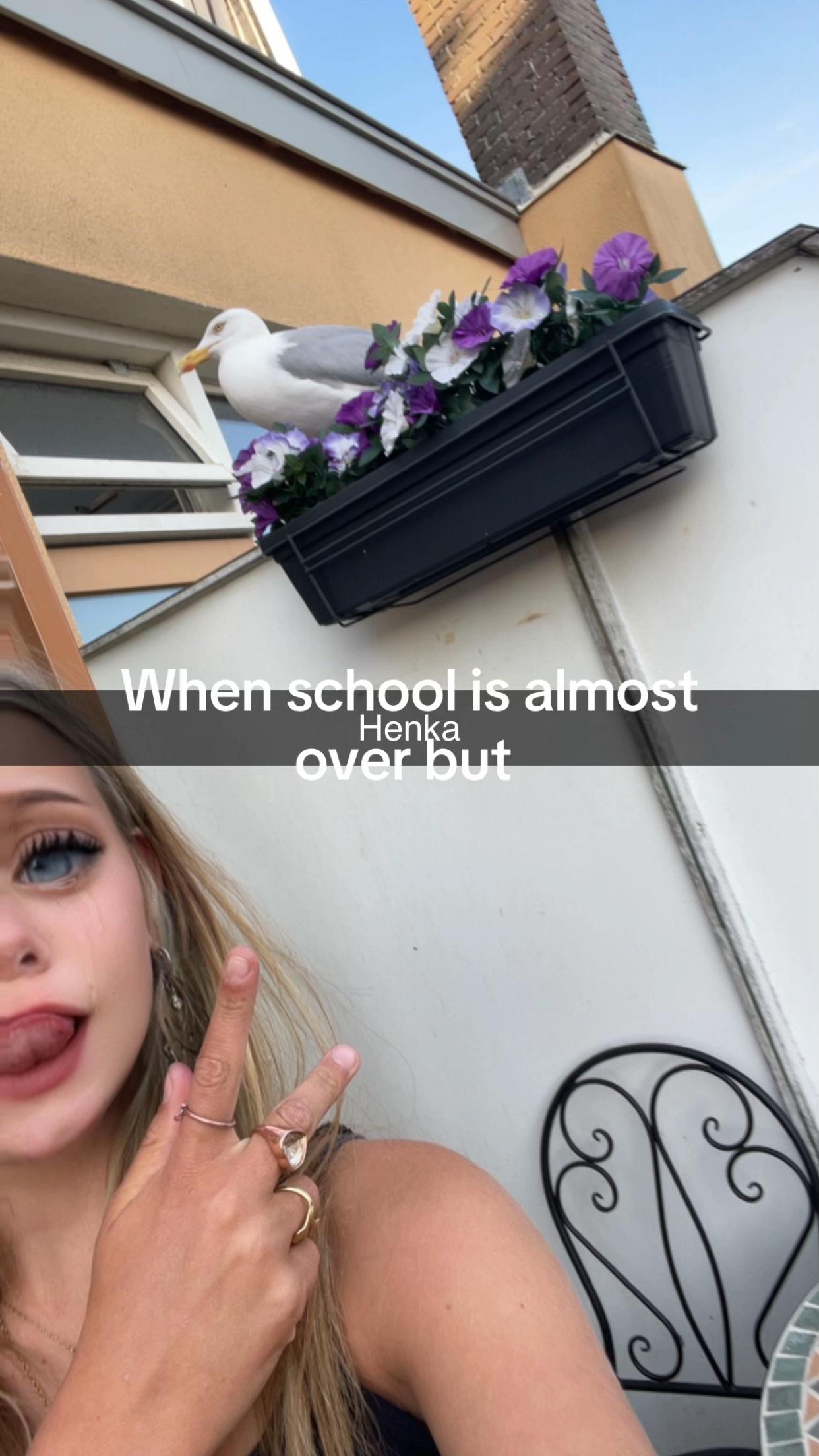 @spam😛