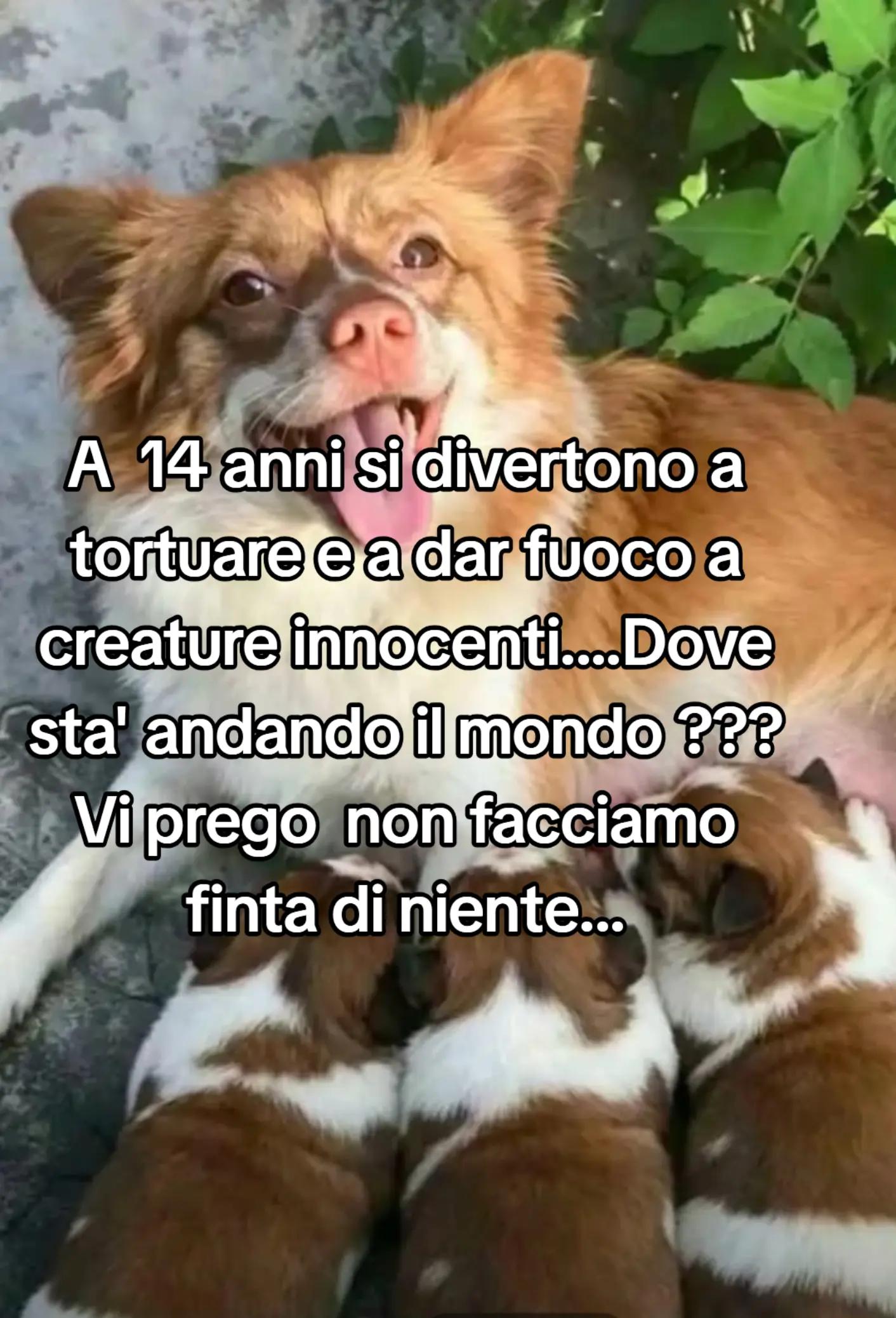 @Eleonora