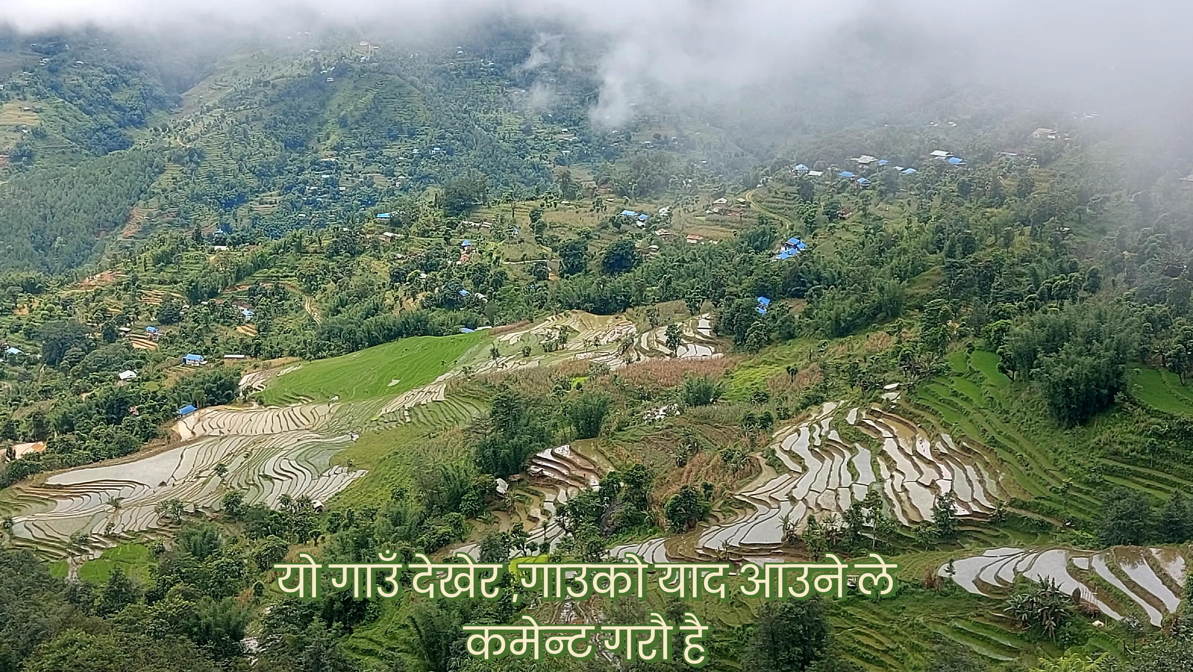 @Harka Gadal