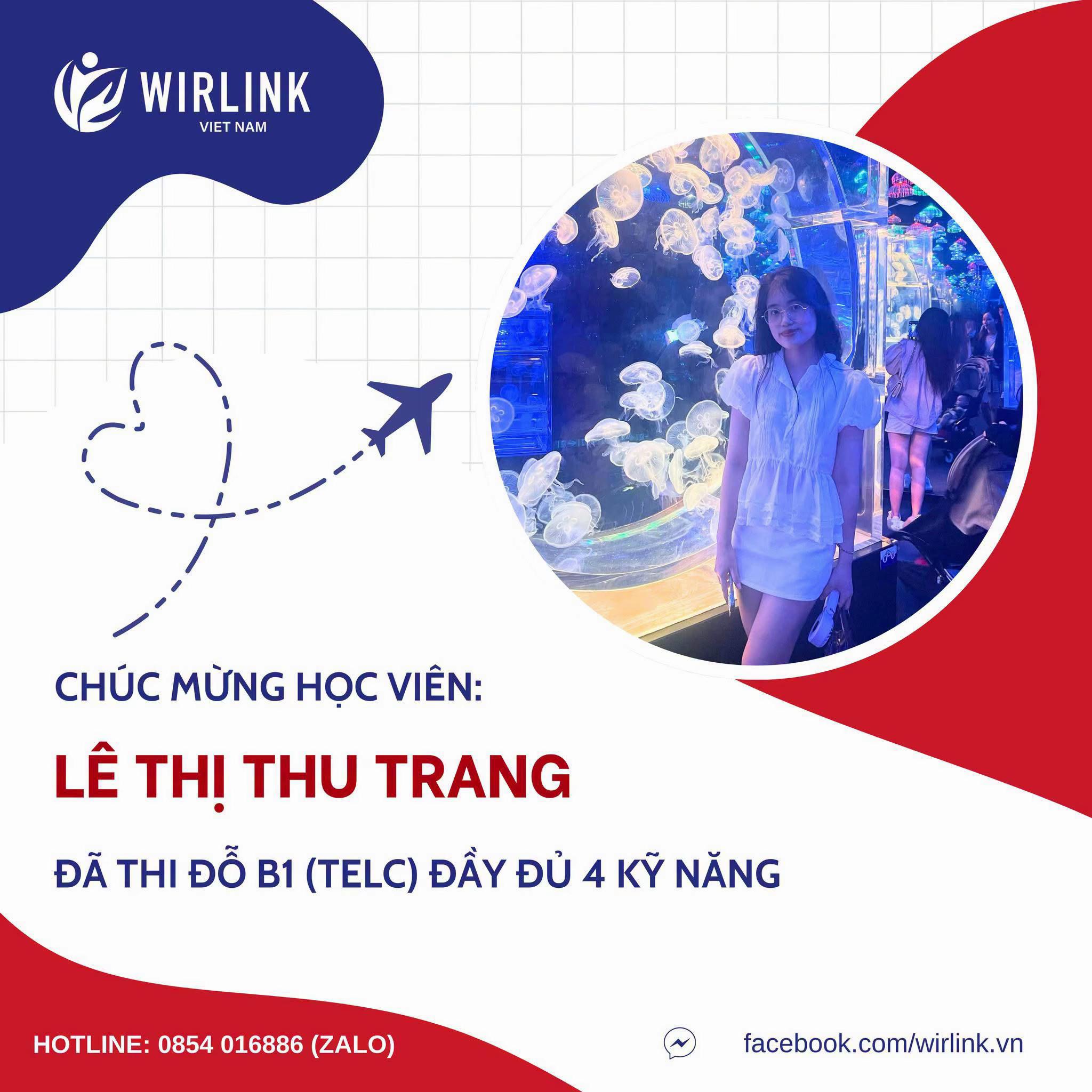@WirLink Việt Nam