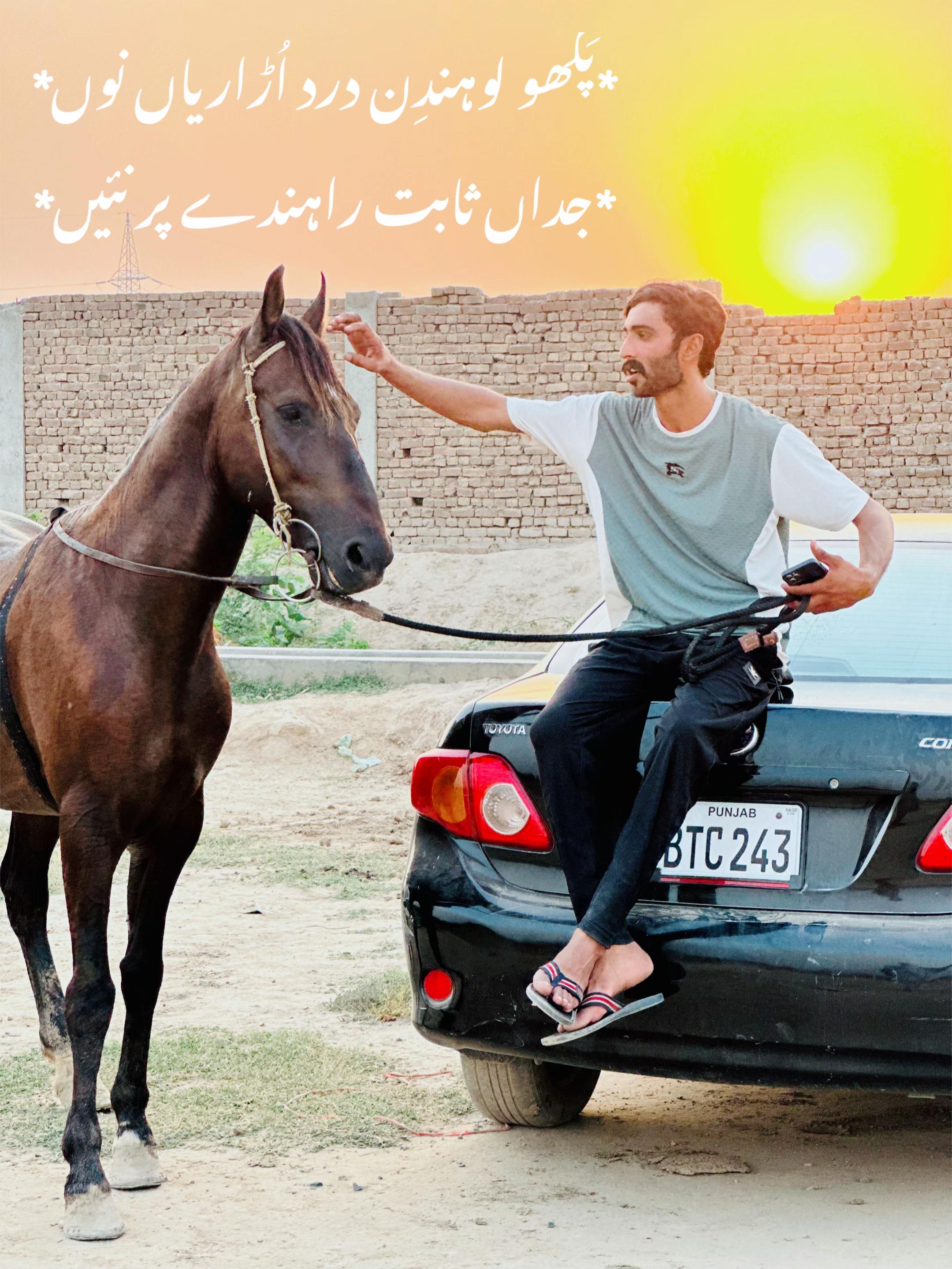 @Rai Usman