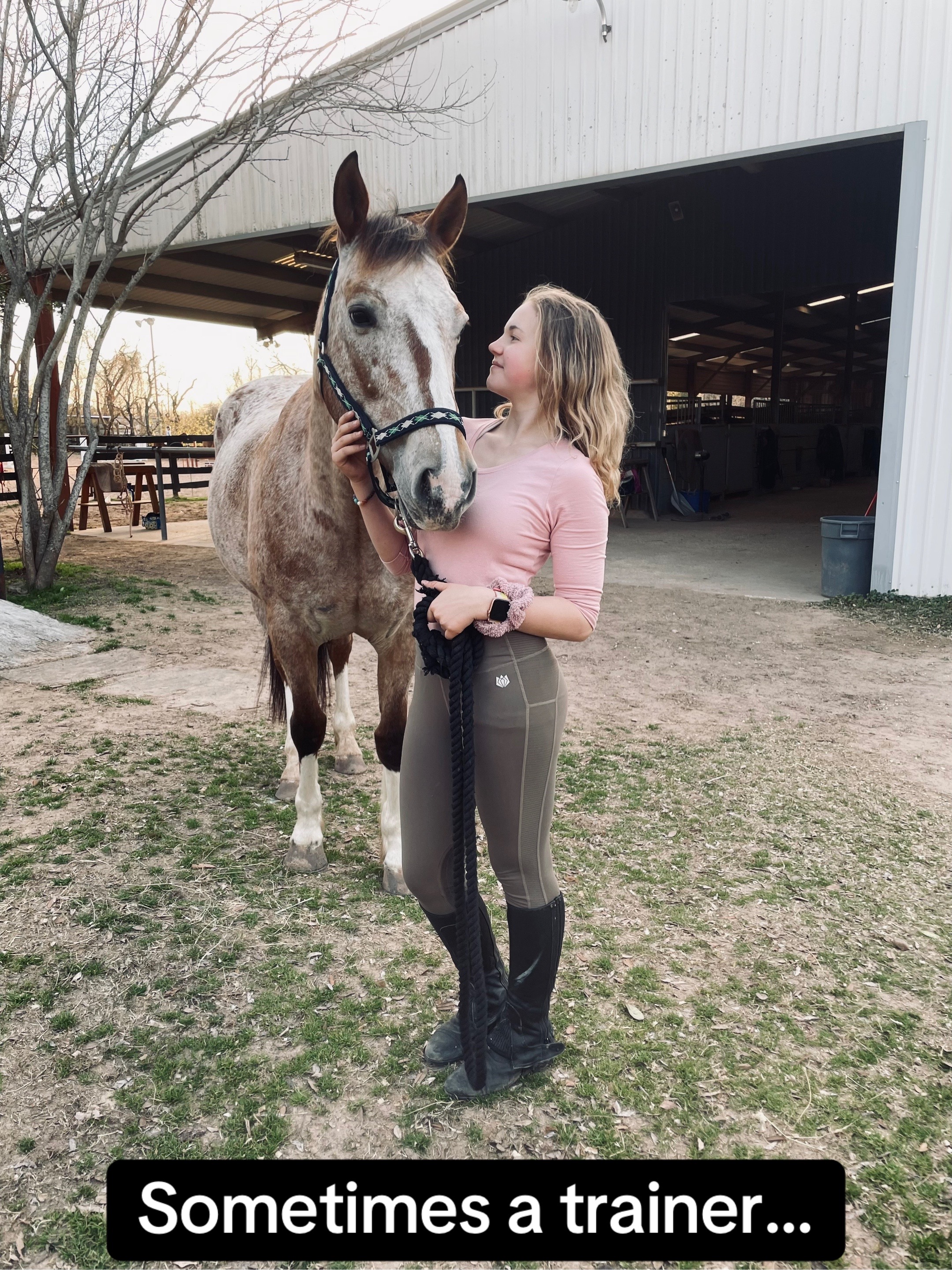 @Equestrian 🐴🐎