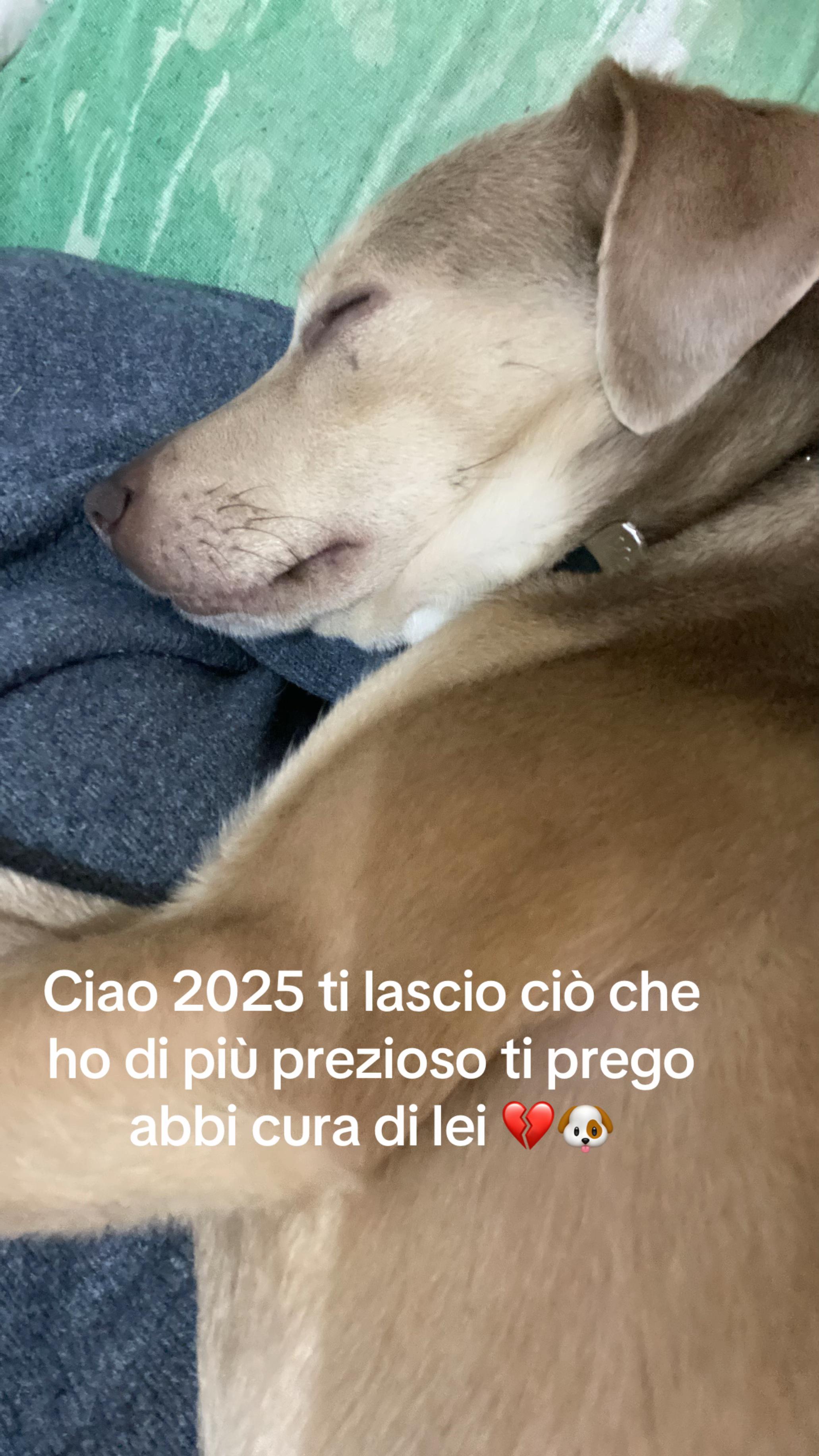 @Ilaria Urbani