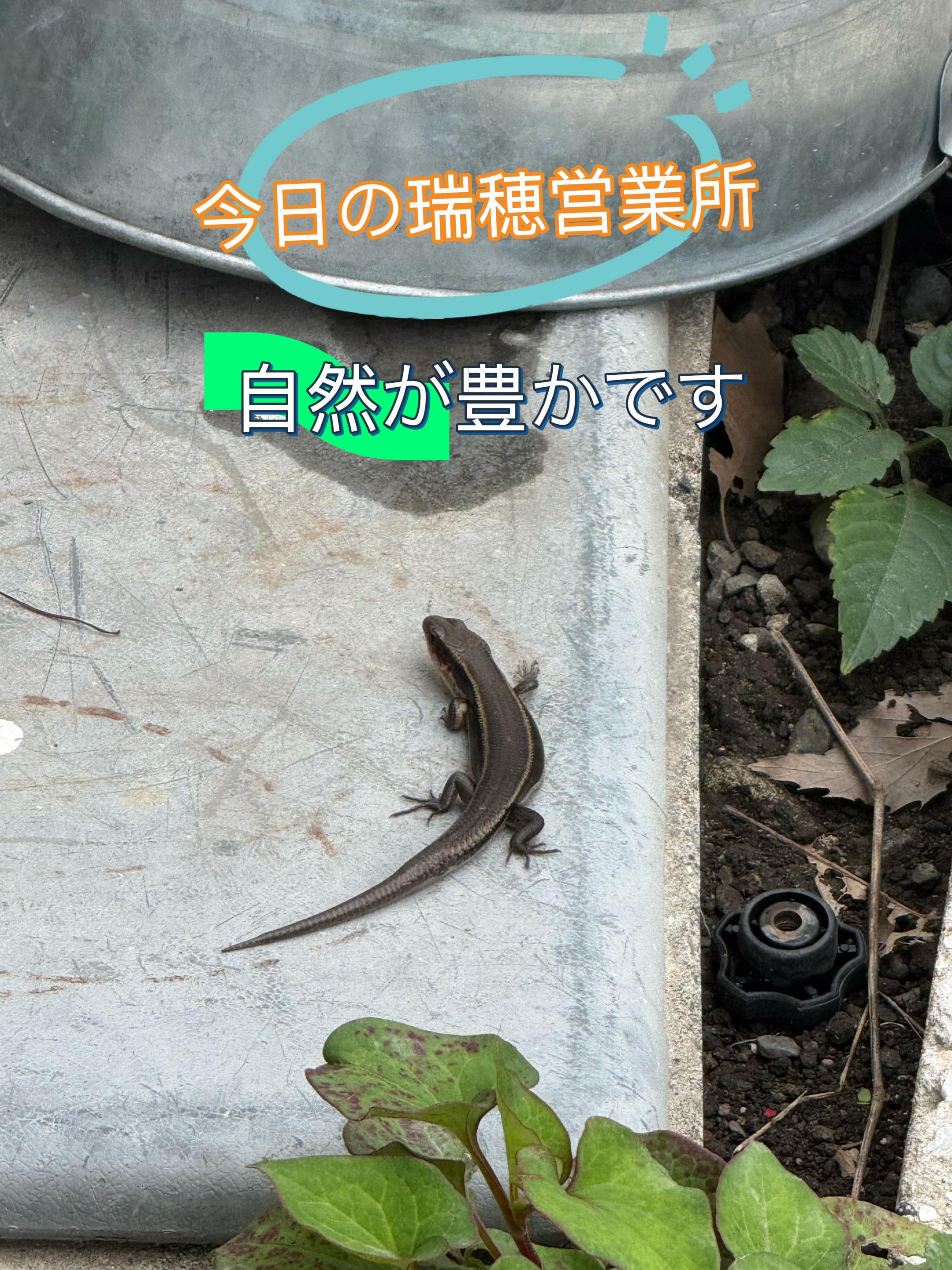@横川貨物株式会社非公認個人