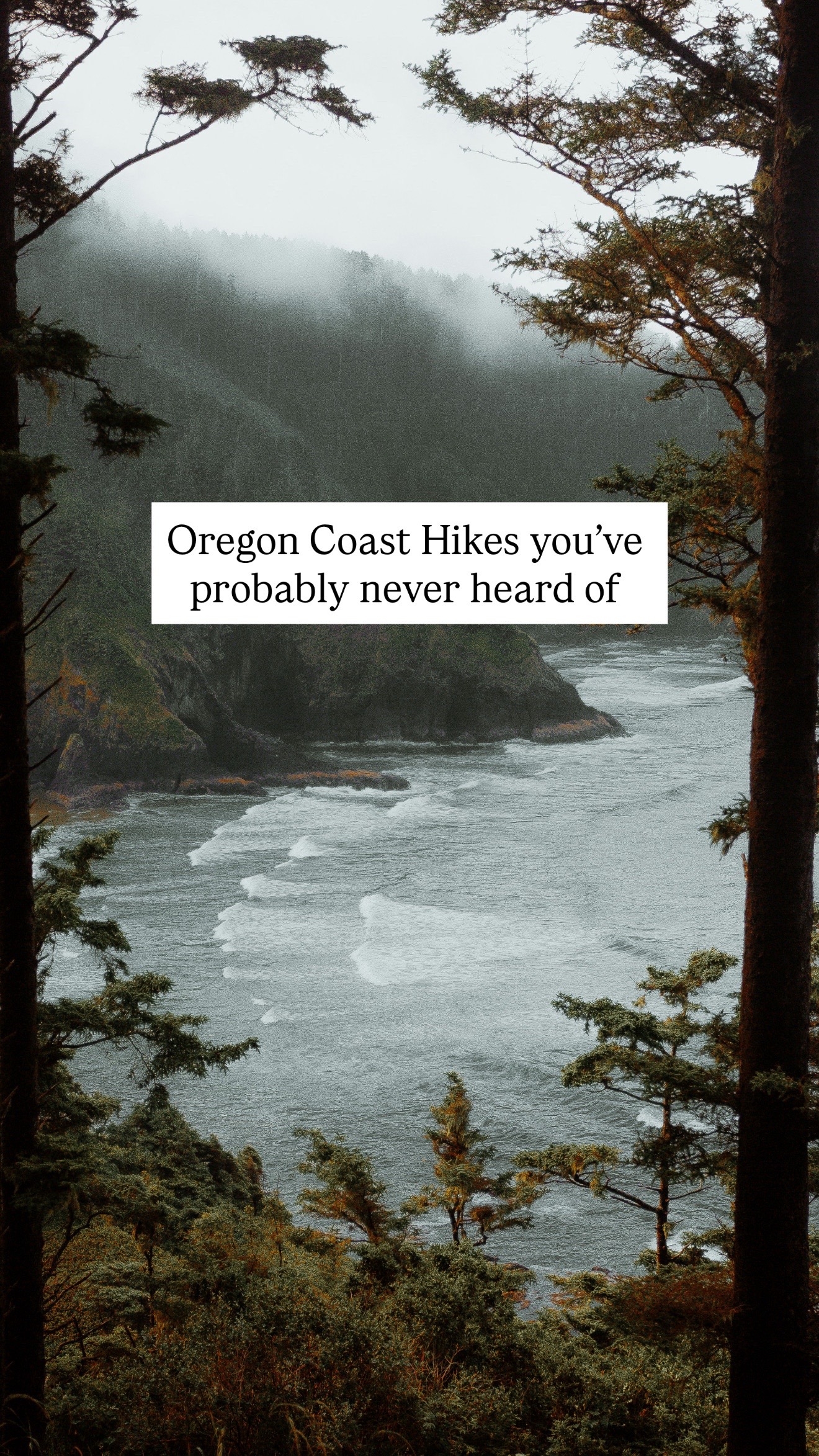 @The Oregon Coast