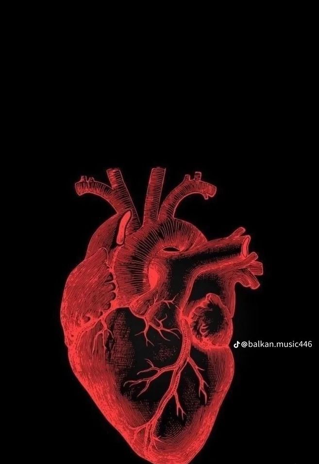 @balkanmusic<3