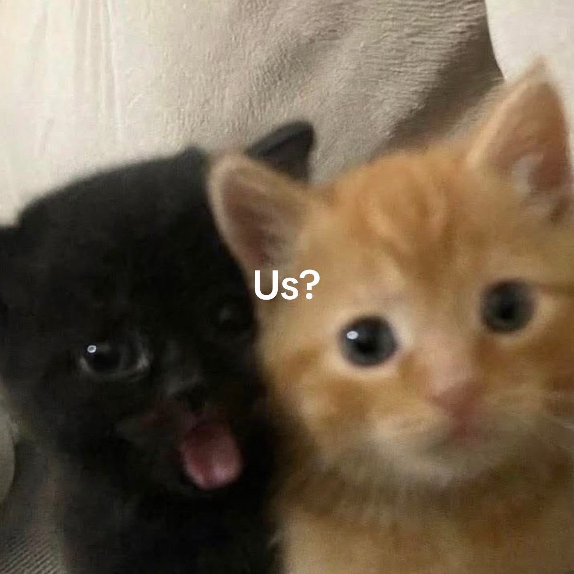 @lex🧸