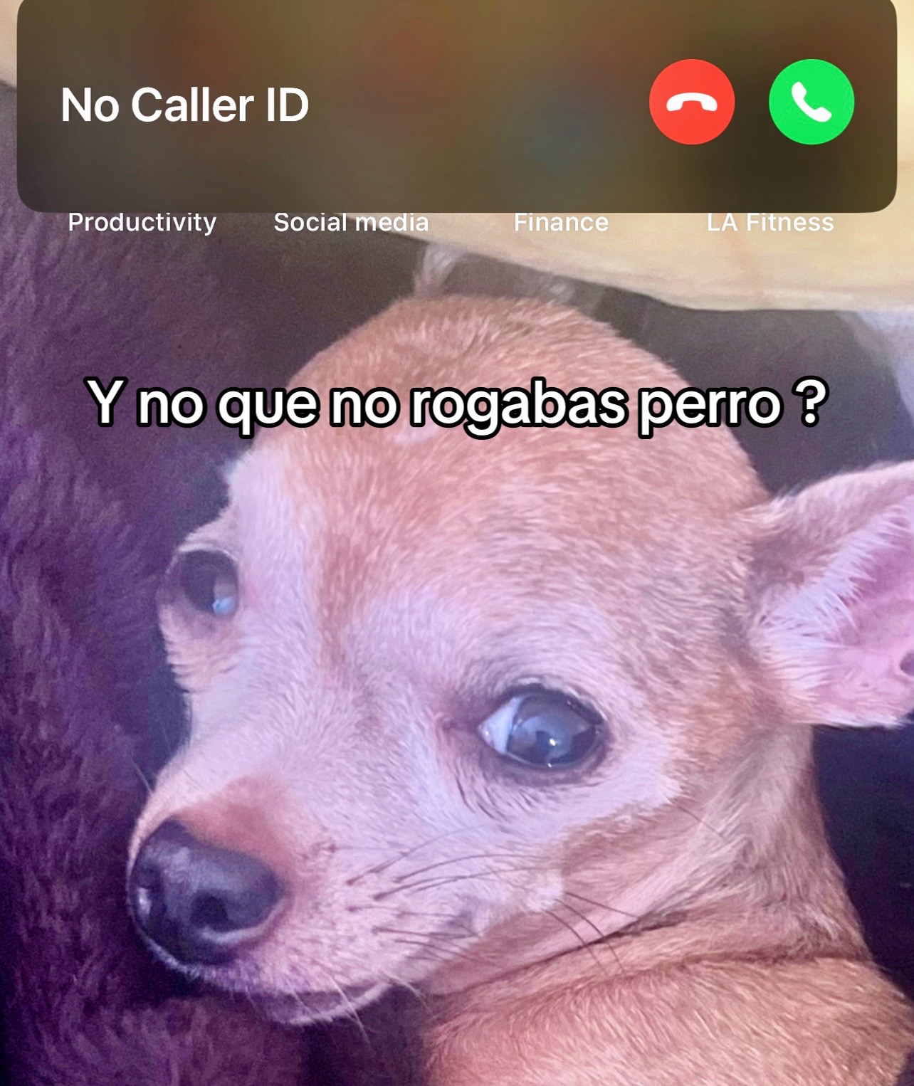 @Toxi