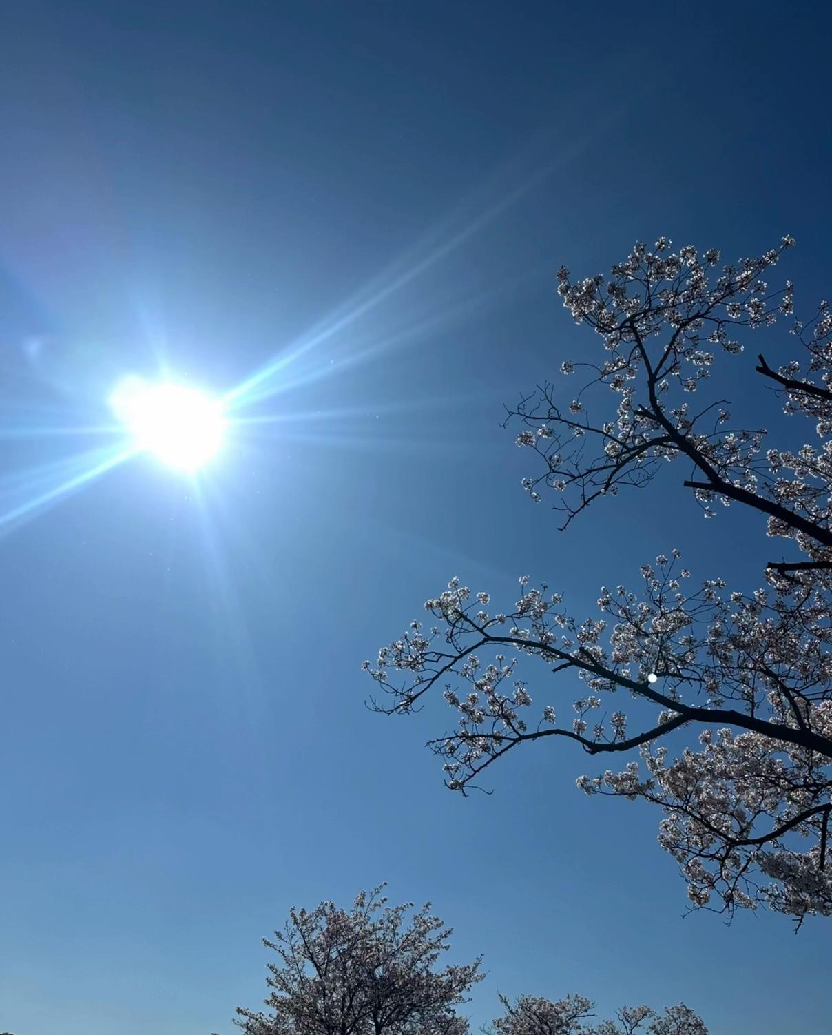 @🙏そいや(^↓^)肩幅お化け中身は仏の肩でかおニキ