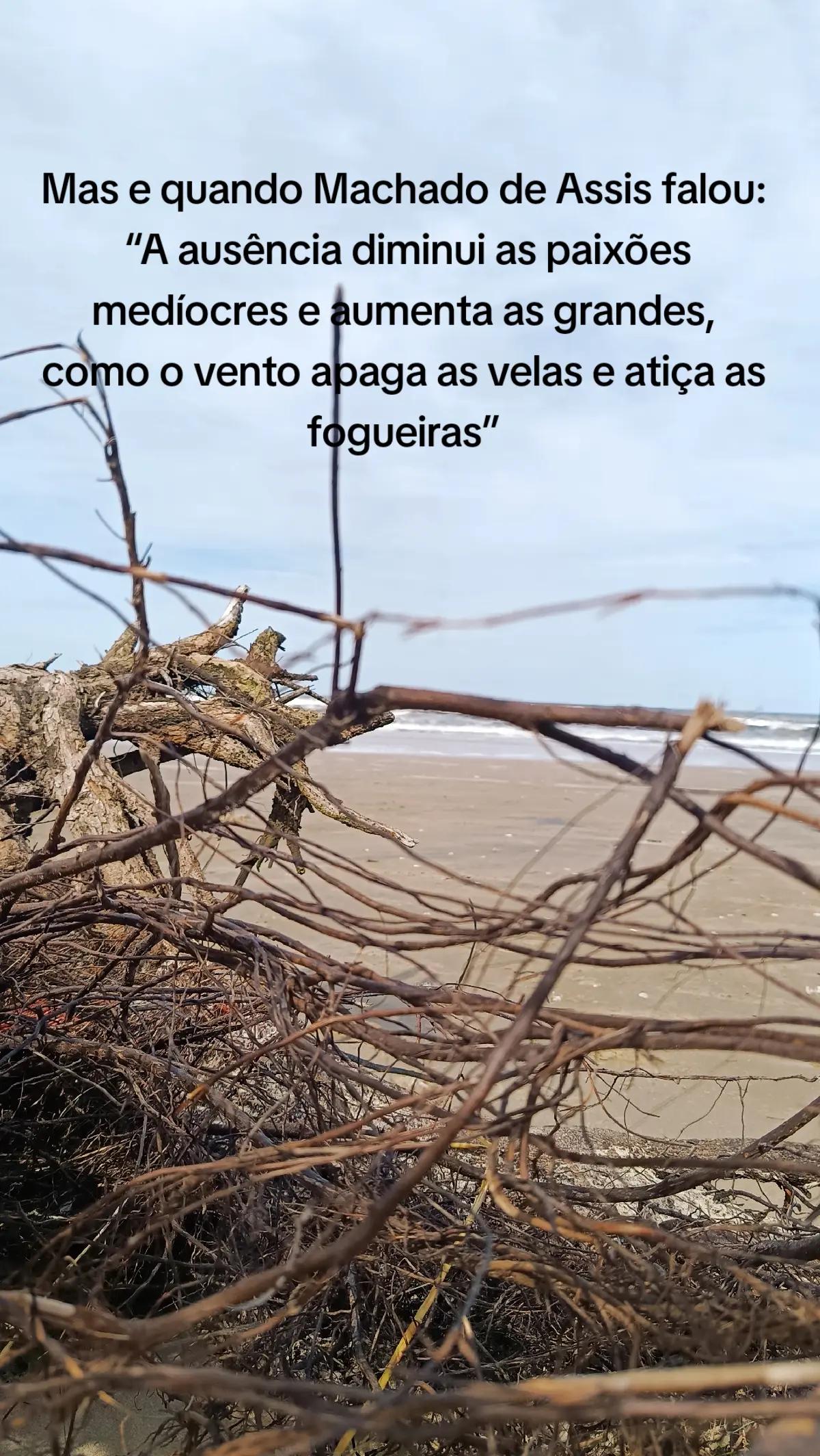 @V A N E S S A