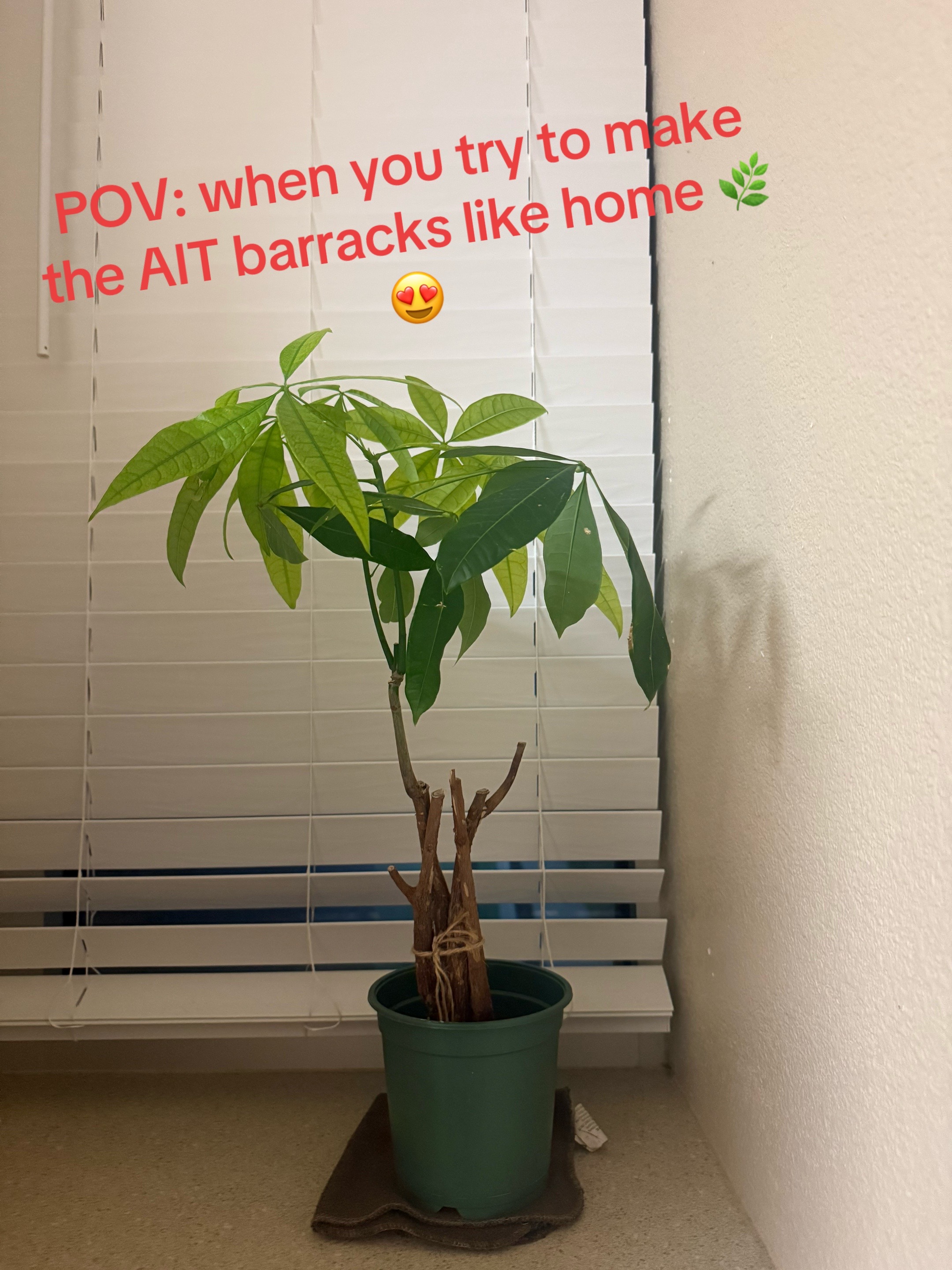 @Puja