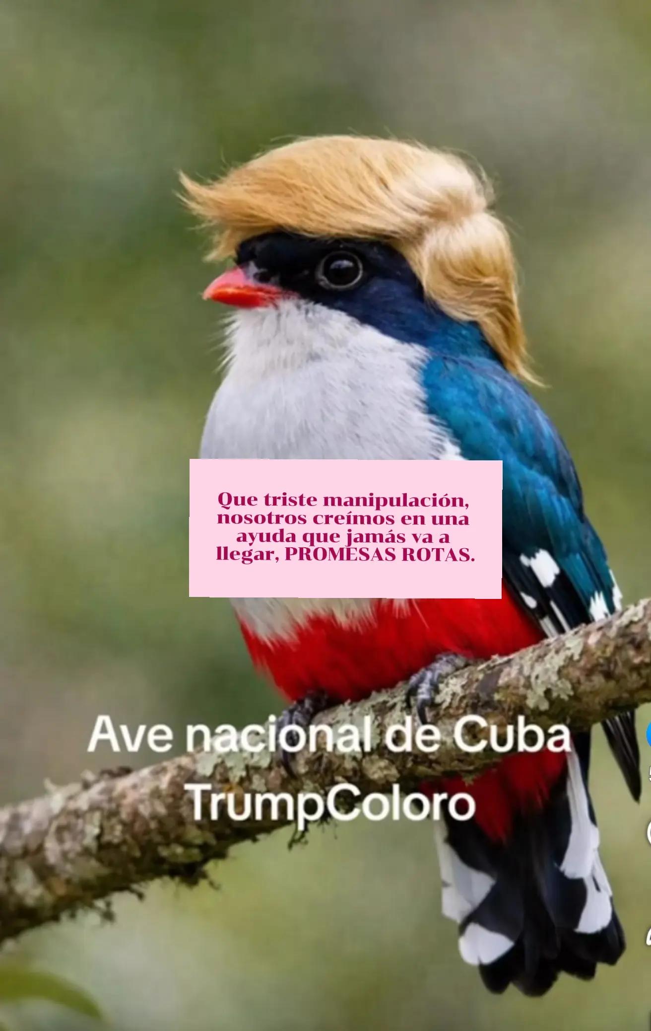 @Mulatisima66