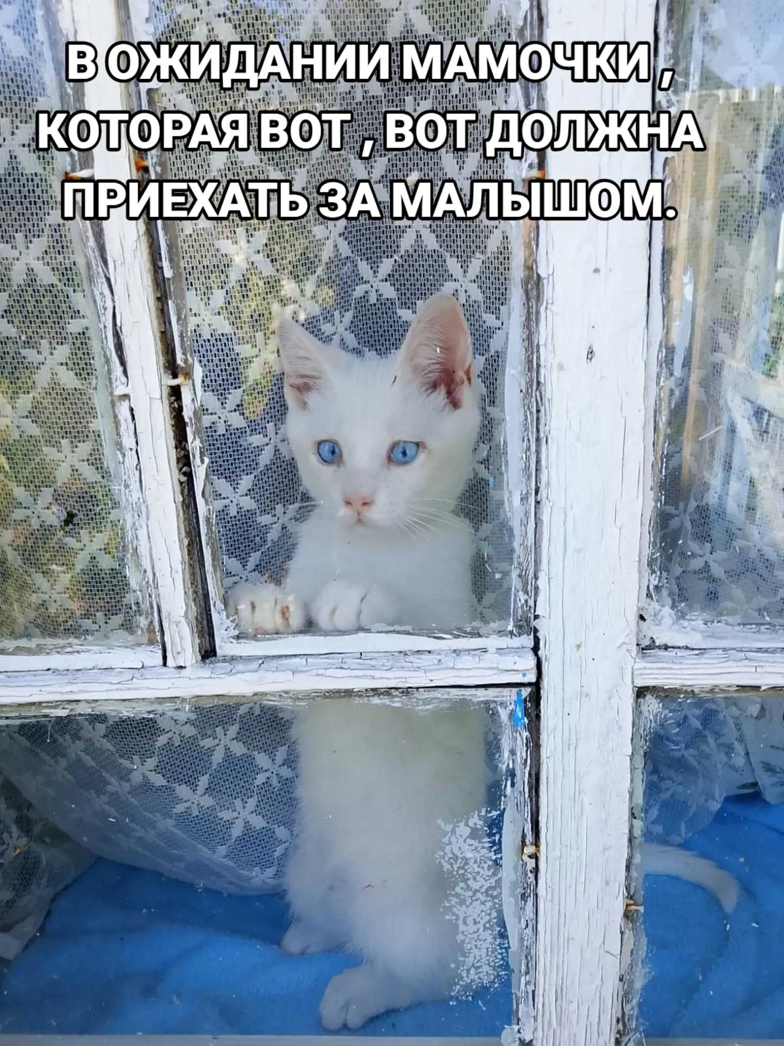 @marinka20_09