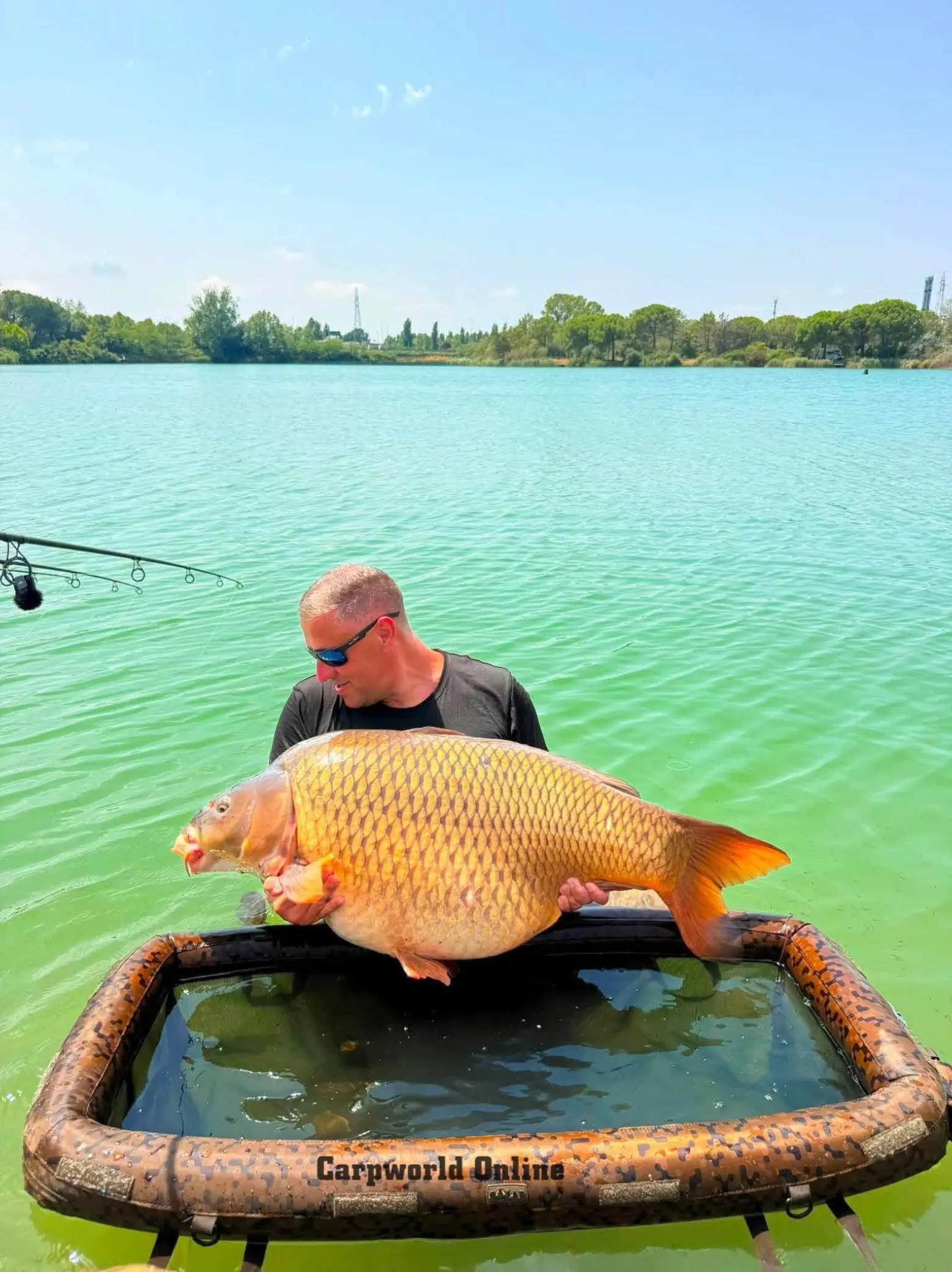 @carpworldonline
