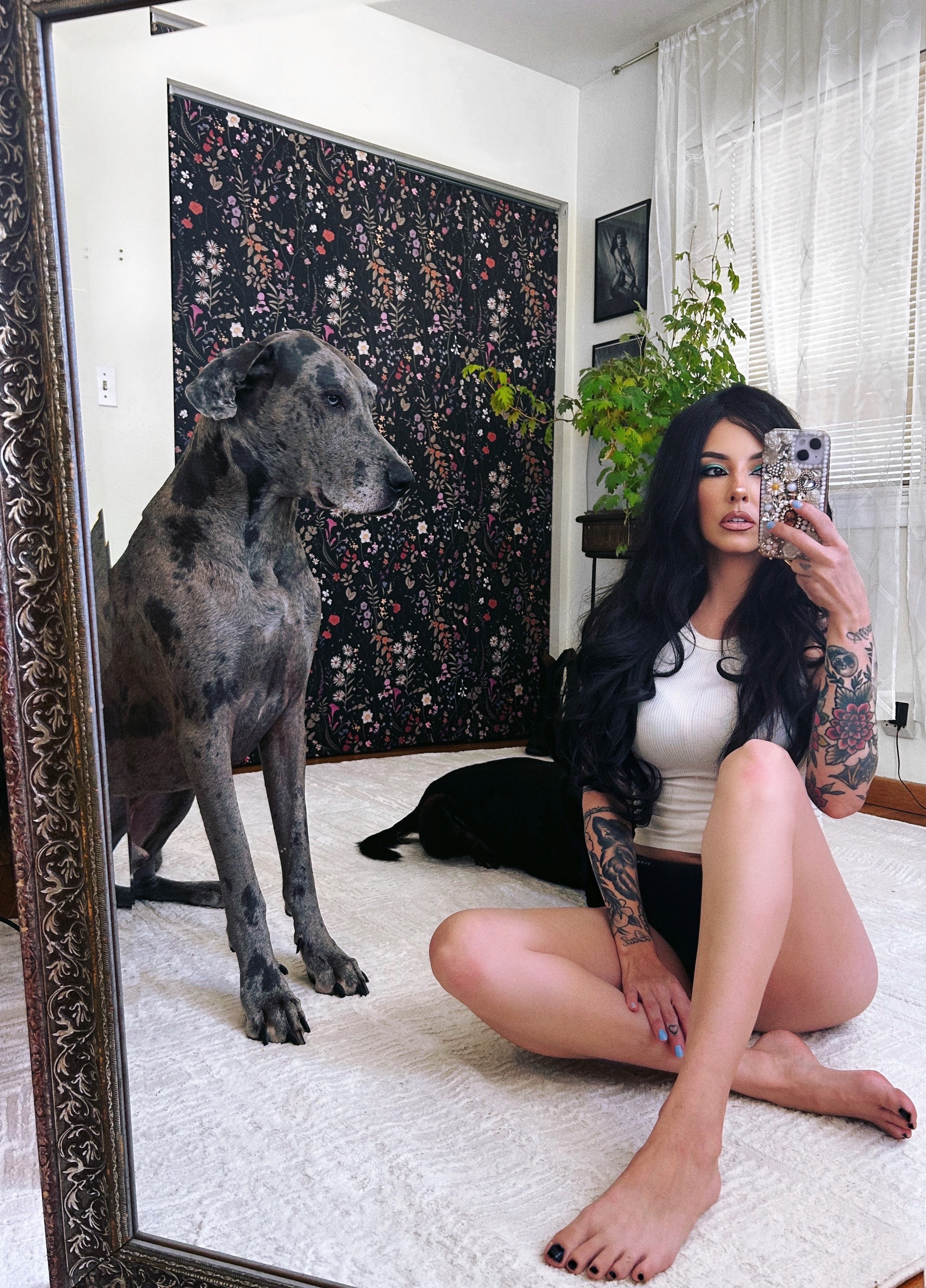 @lex 🐺⛓️