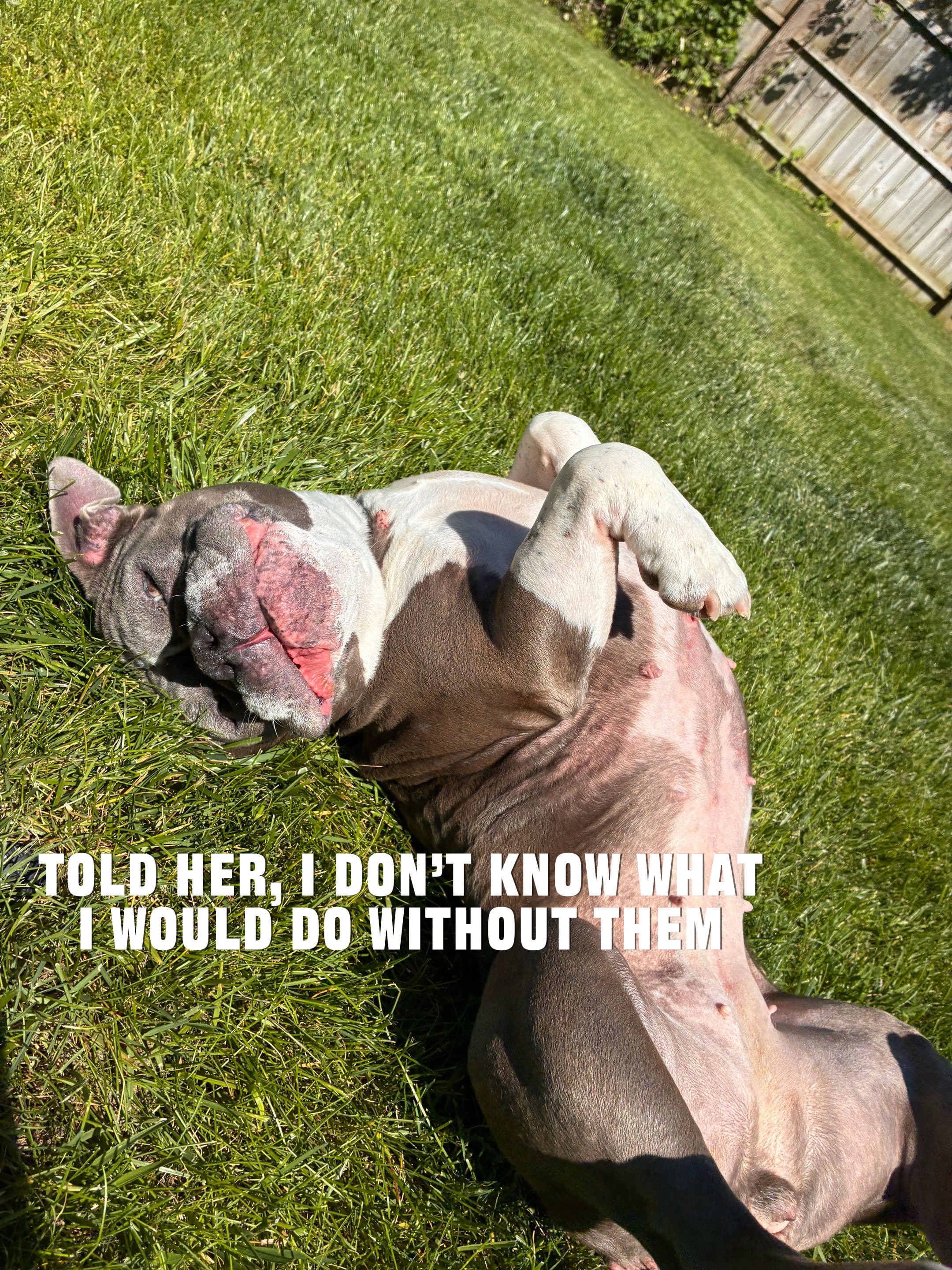 @😎