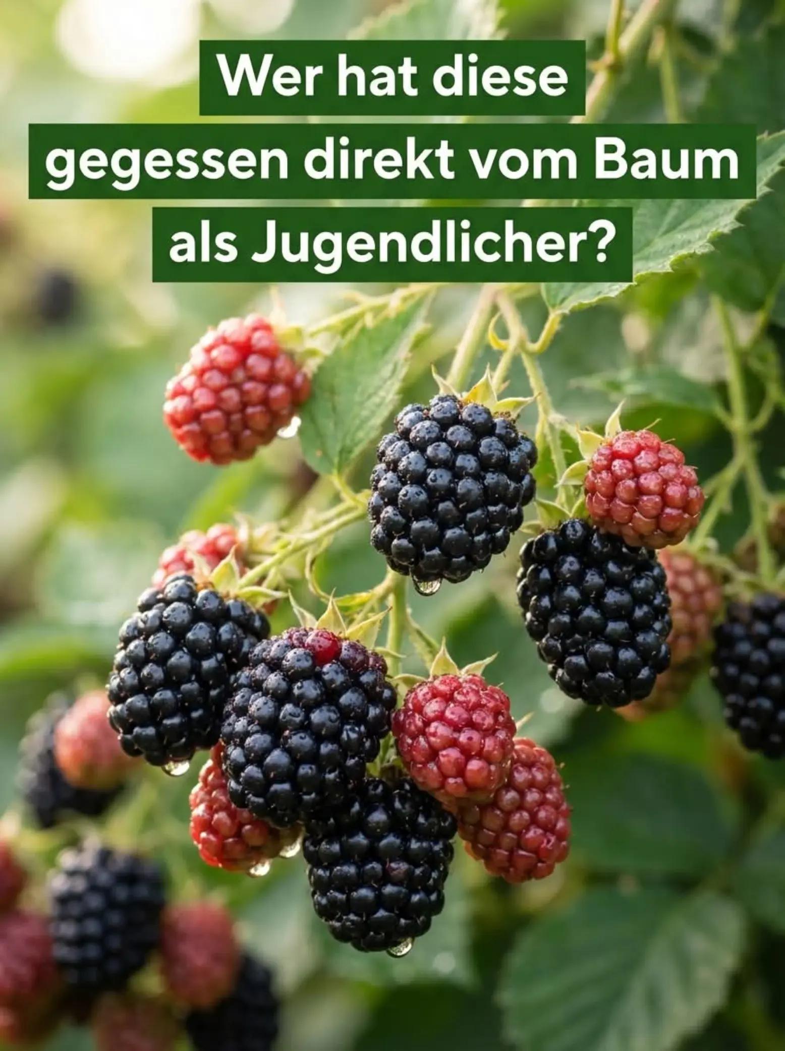 @TeamOstdeutschland_official