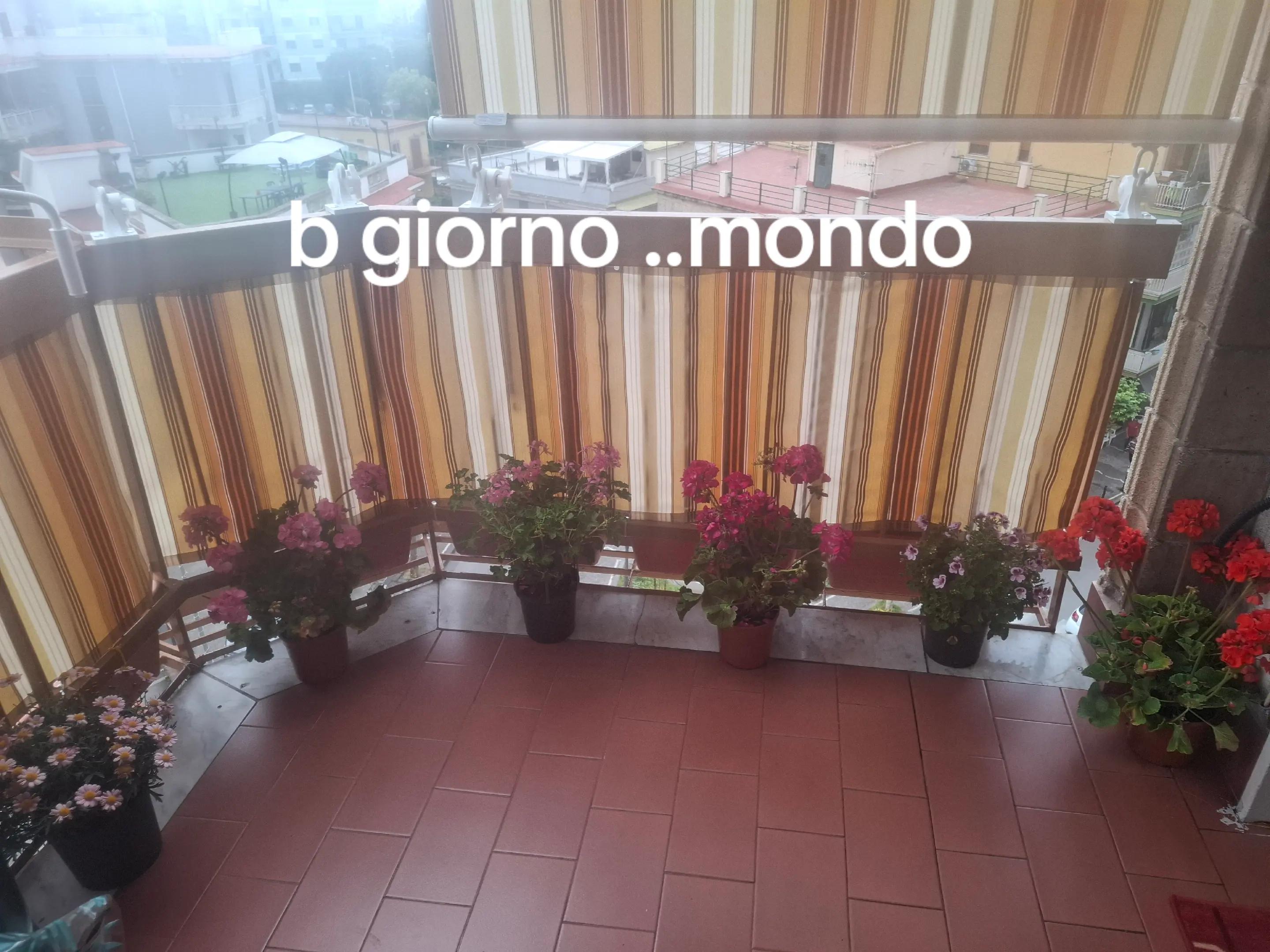 @Teresa Scannapiecoro